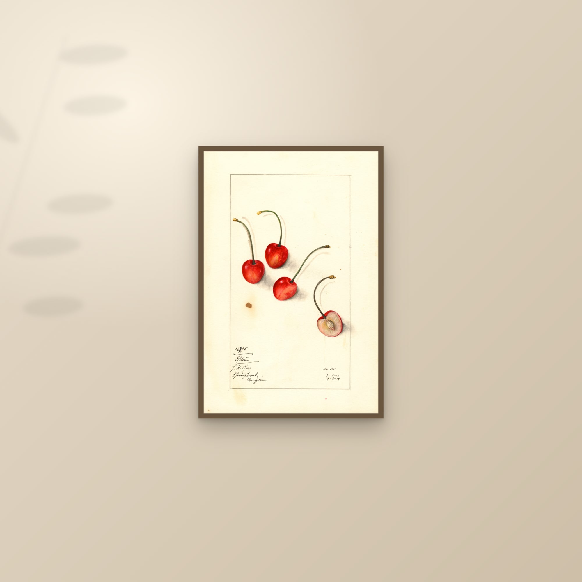 Elton Cherry — framed and styled on a sunlit wall