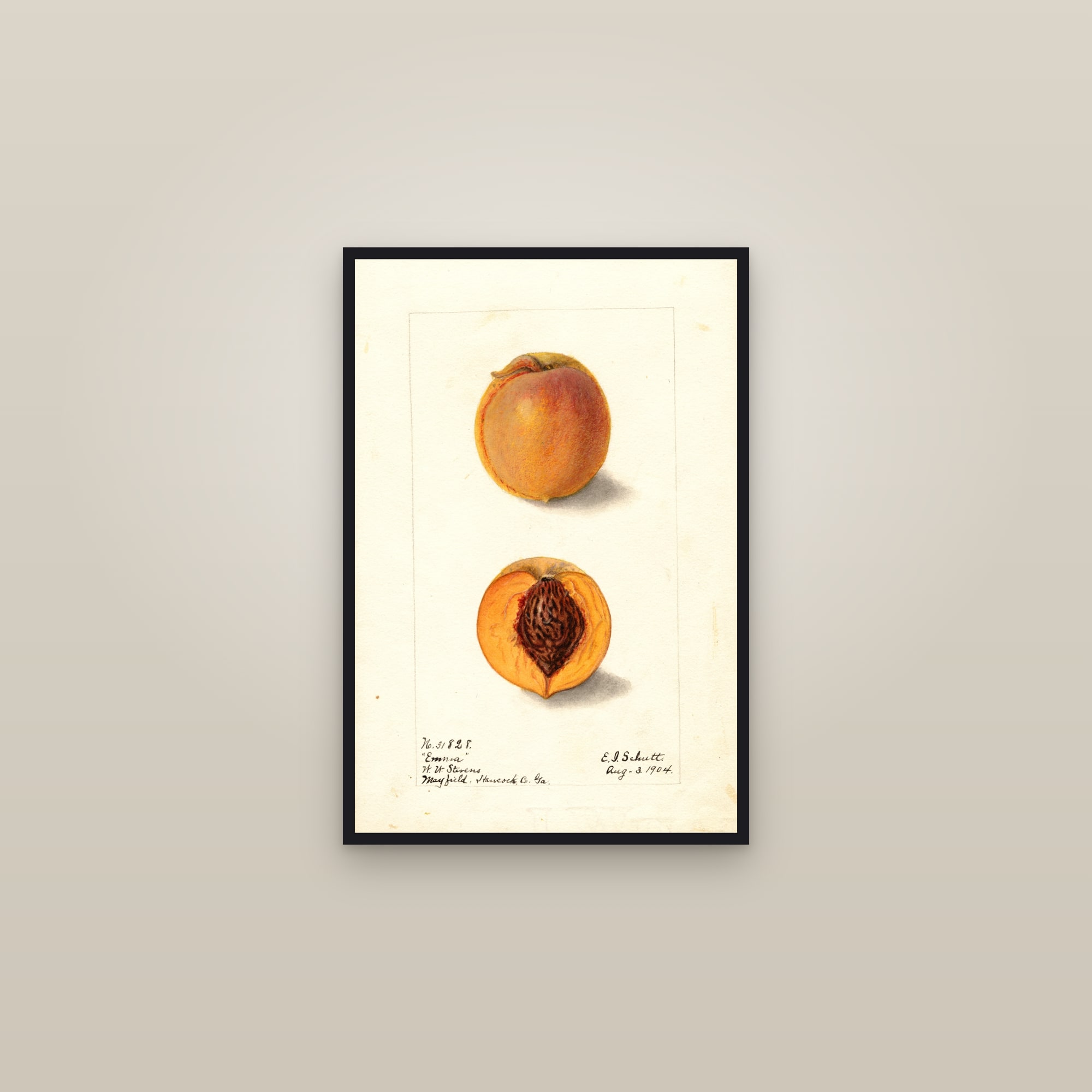 Emma Peach — framed in a gallery setting
