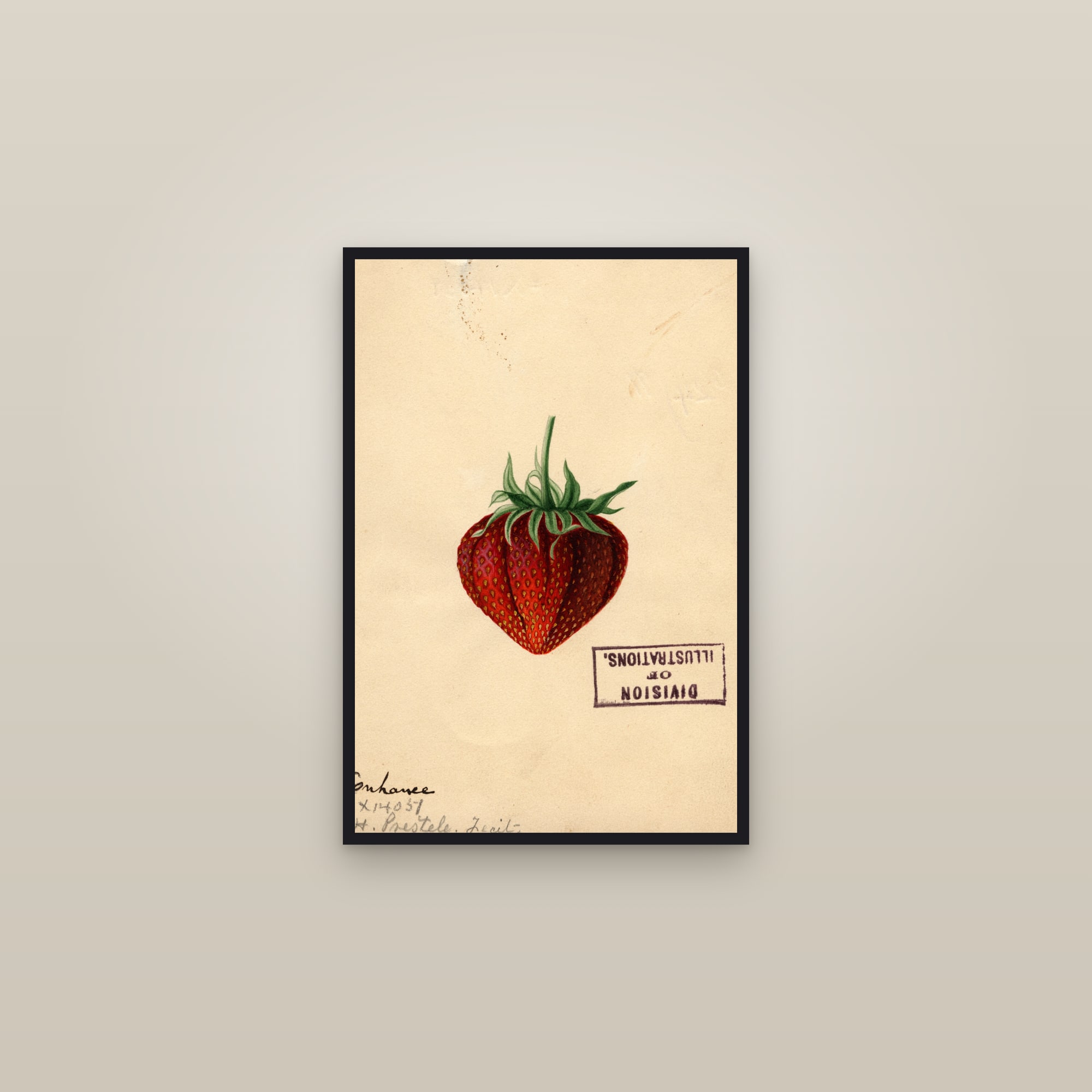 Enhance Strawberry — framed in a gallery setting