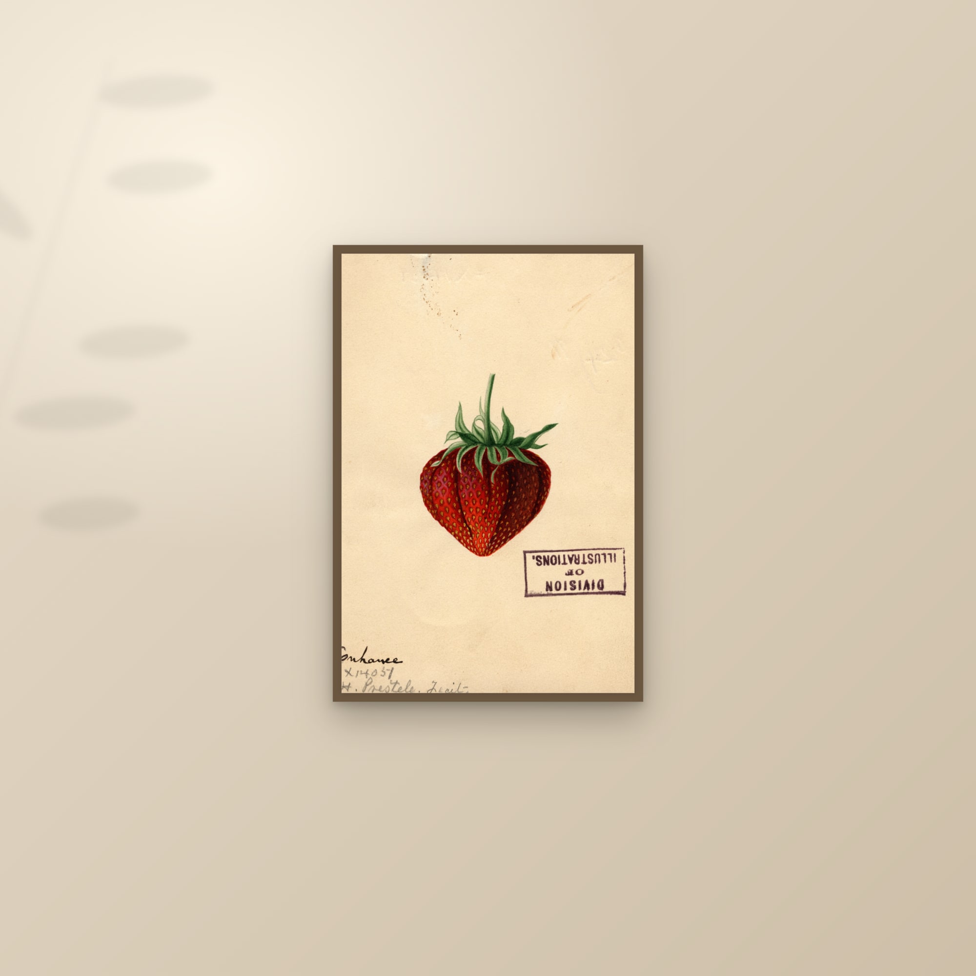 Enhance Strawberry — framed and styled on a sunlit wall