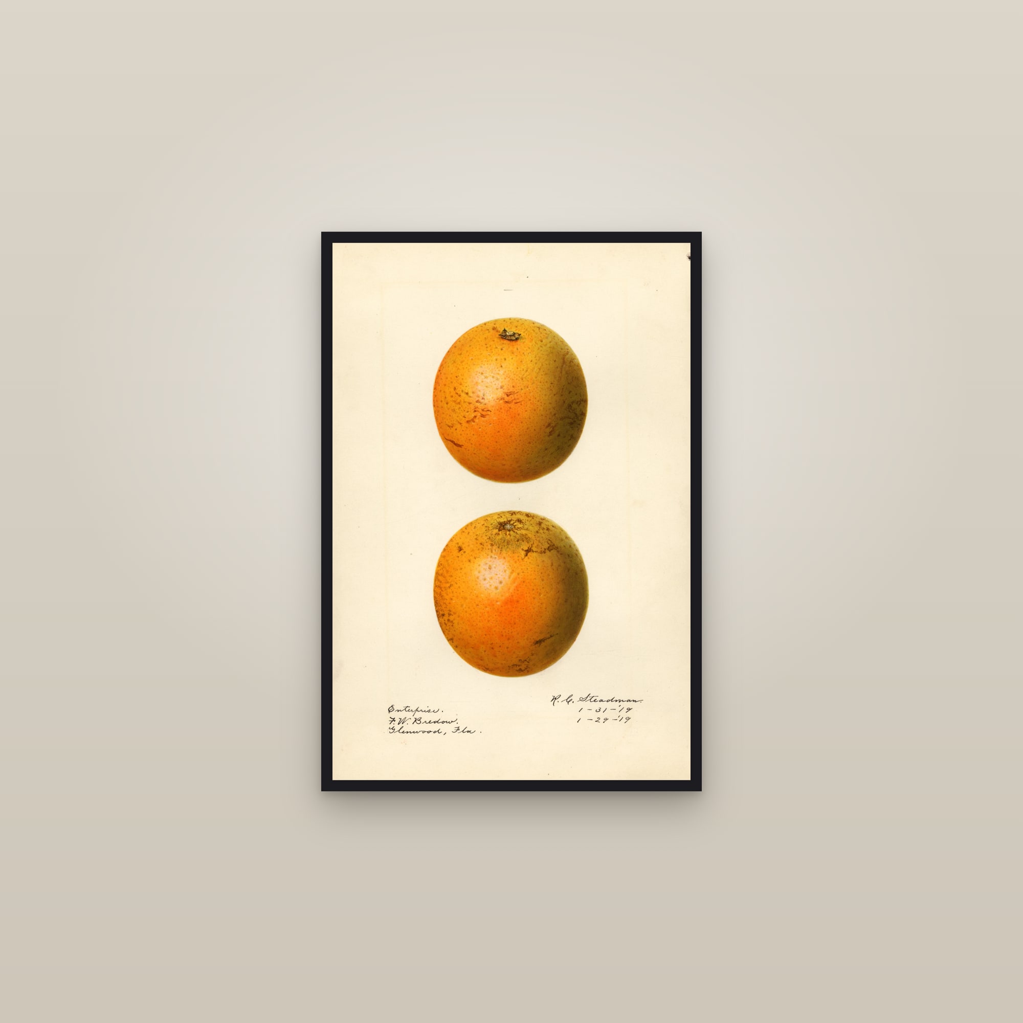 Enterprise Orange — framed in a gallery setting