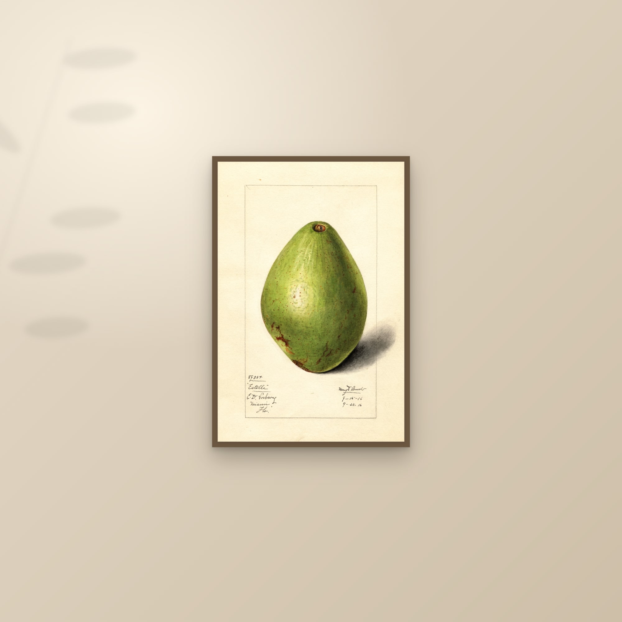 Estelle Avocado — framed and styled on a sunlit wall