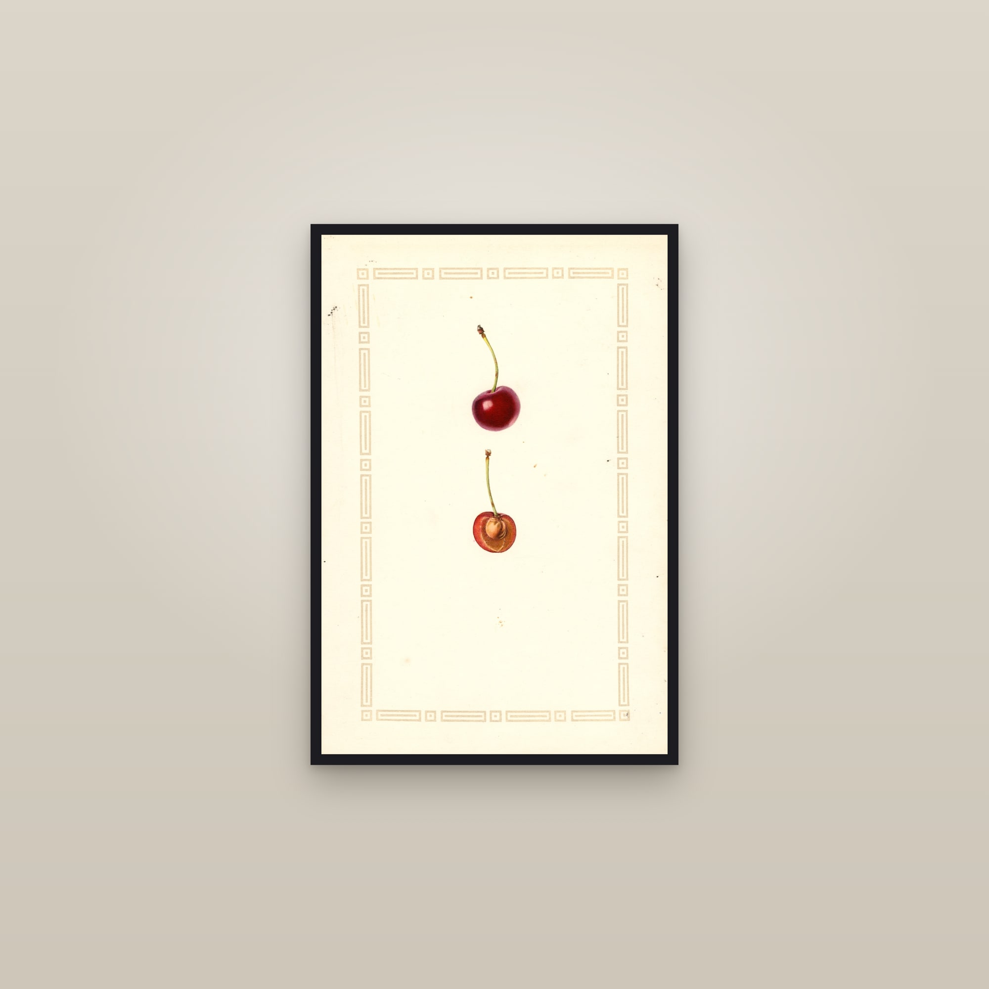 Eveline Cherry — framed in a gallery setting