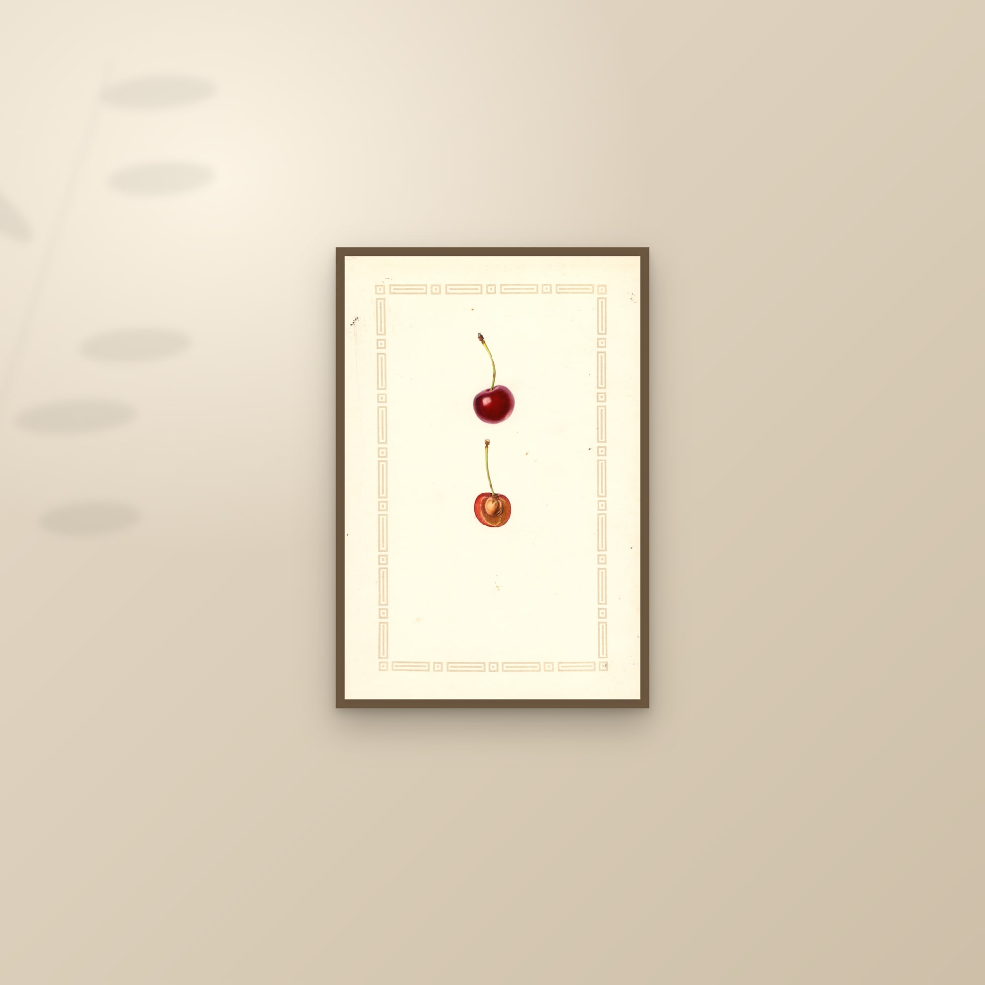 Eveline Cherry — framed and styled on a sunlit wall