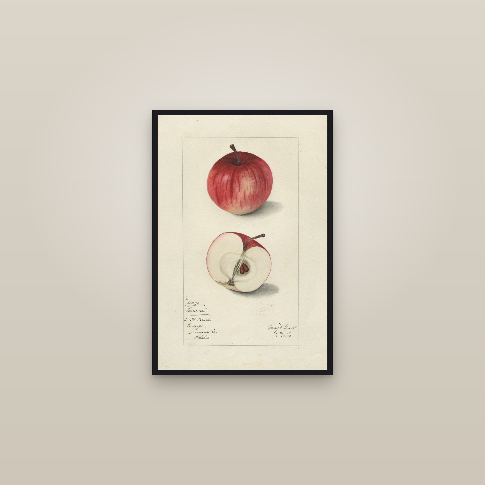Fameuse Apple — framed in a gallery setting