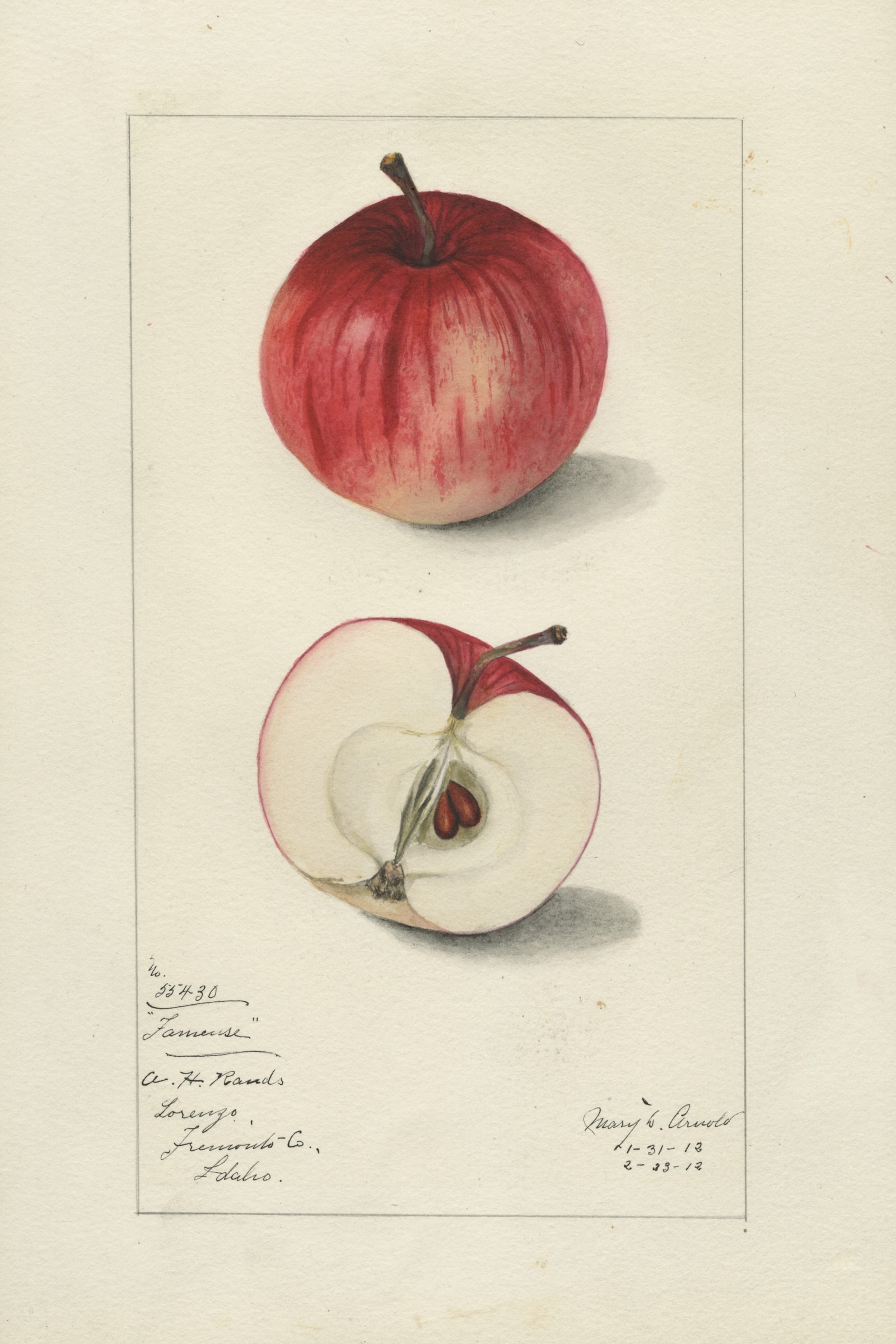 Fameuse Apple