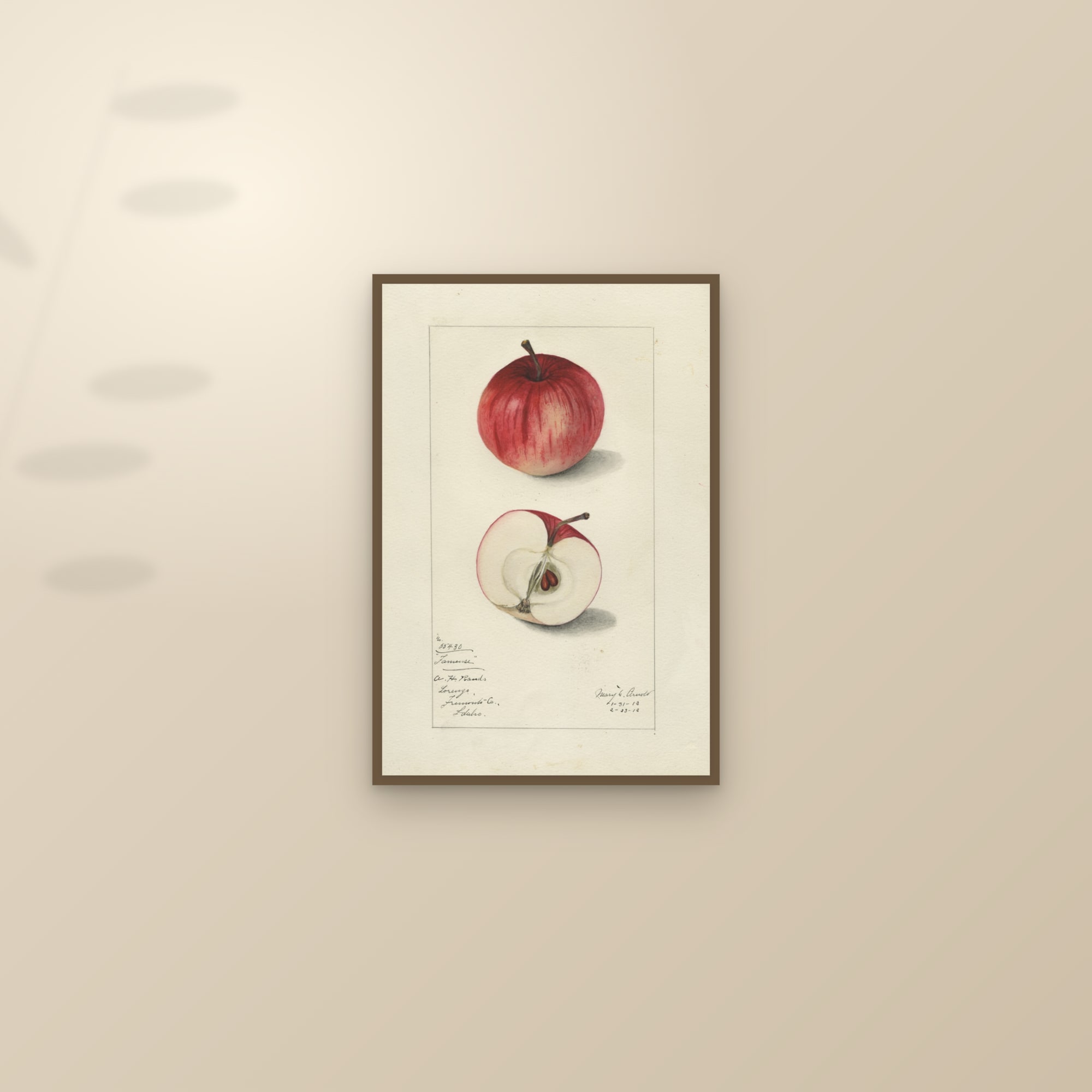 Fameuse Apple — framed and styled on a sunlit wall