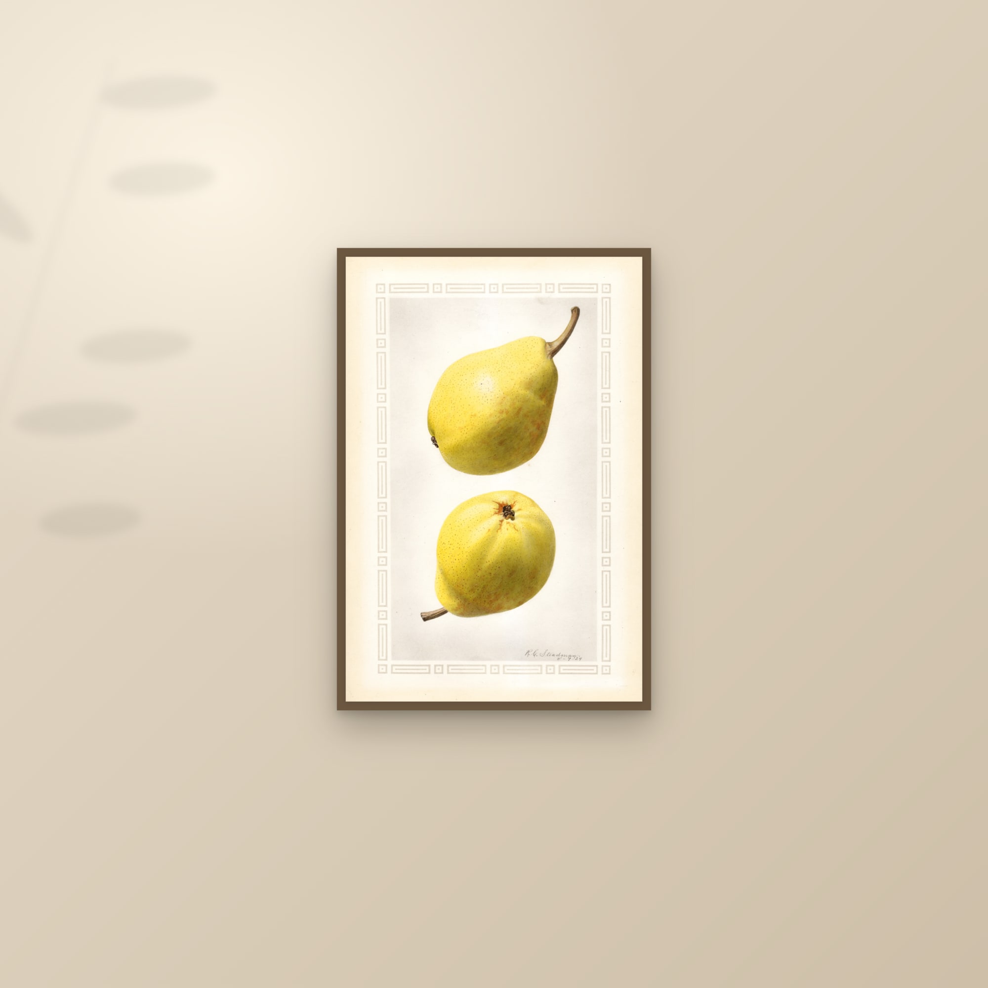 Favorita Pear — framed and styled on a sunlit wall