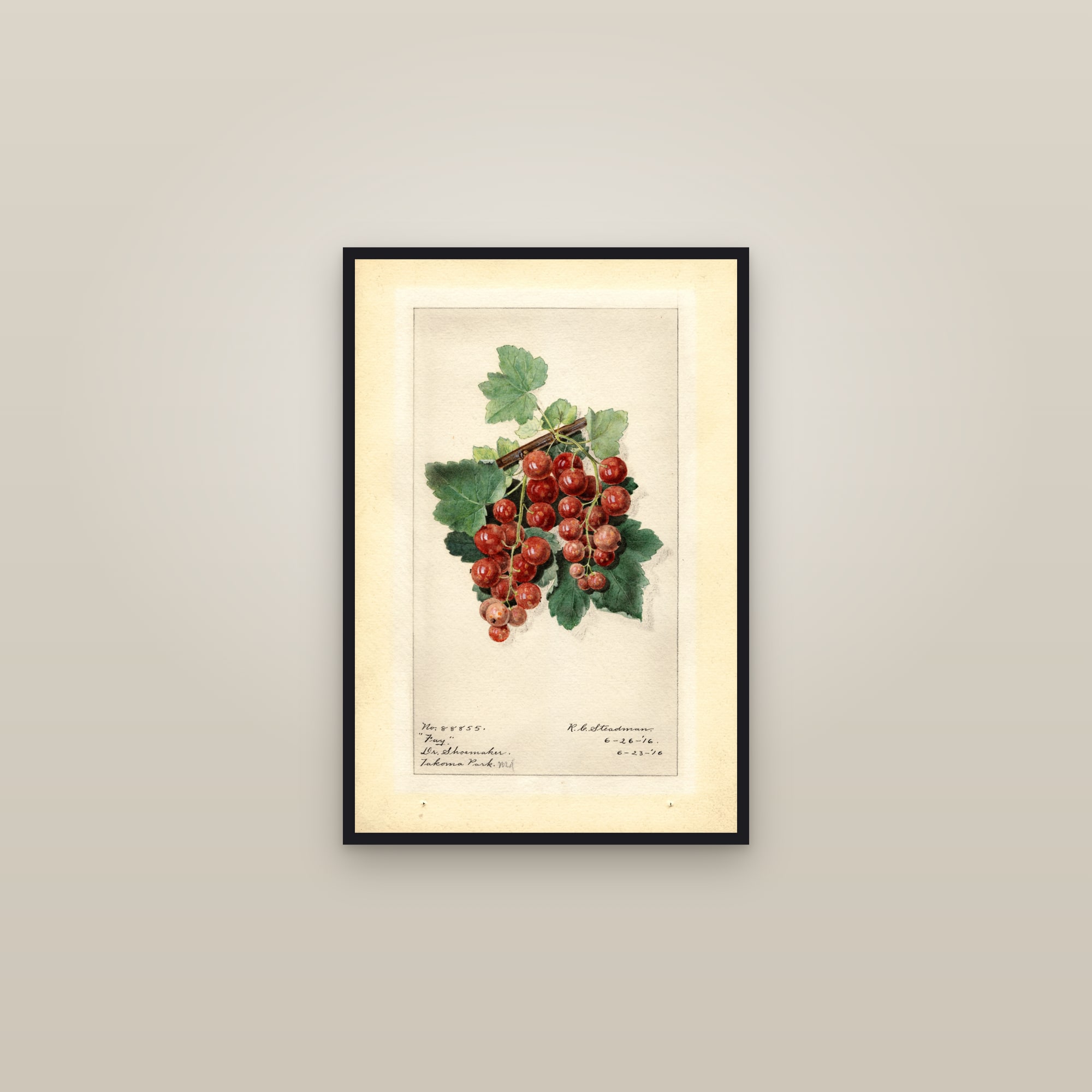Fay Gooseberry — framed in a gallery setting