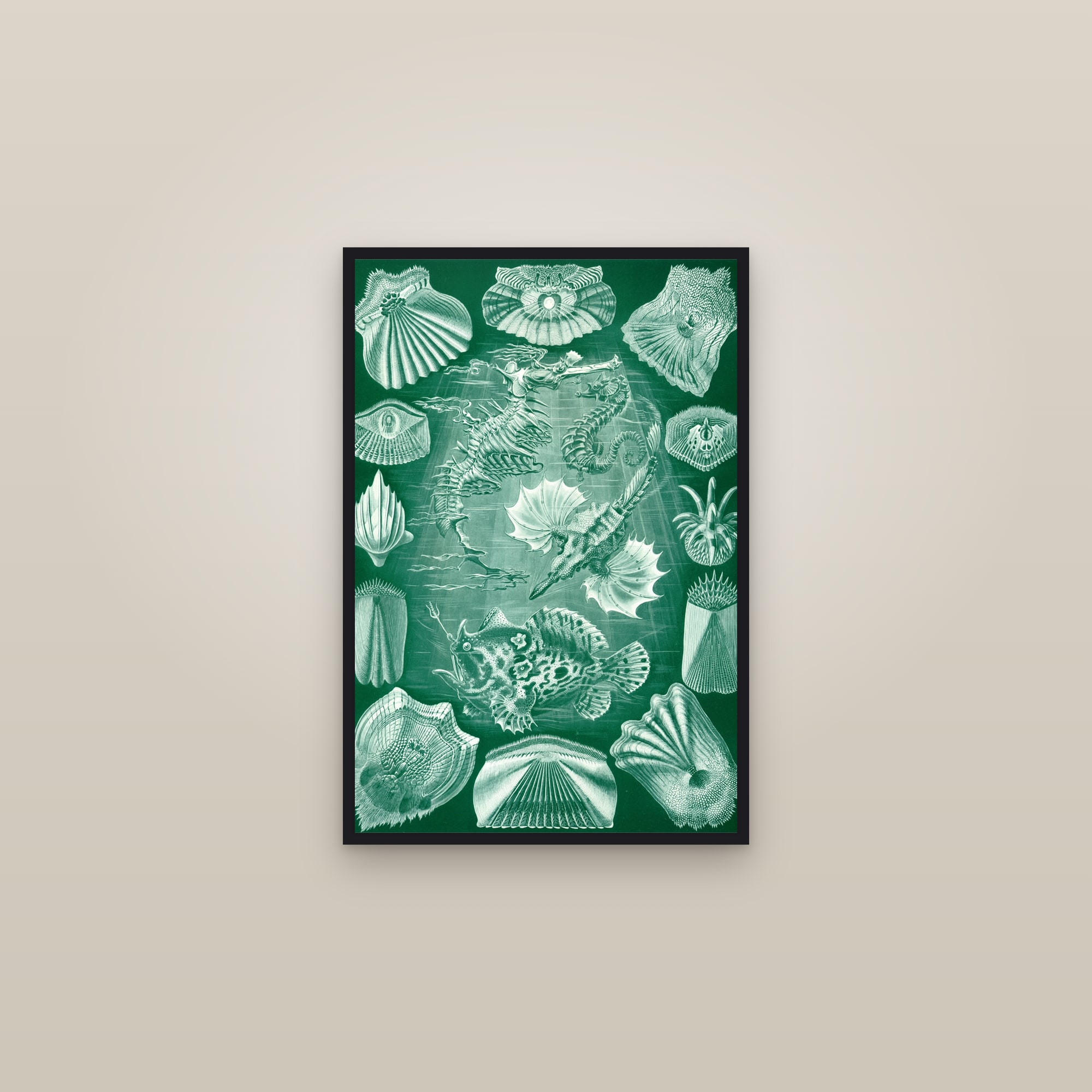 Fish — framed in a gallery setting