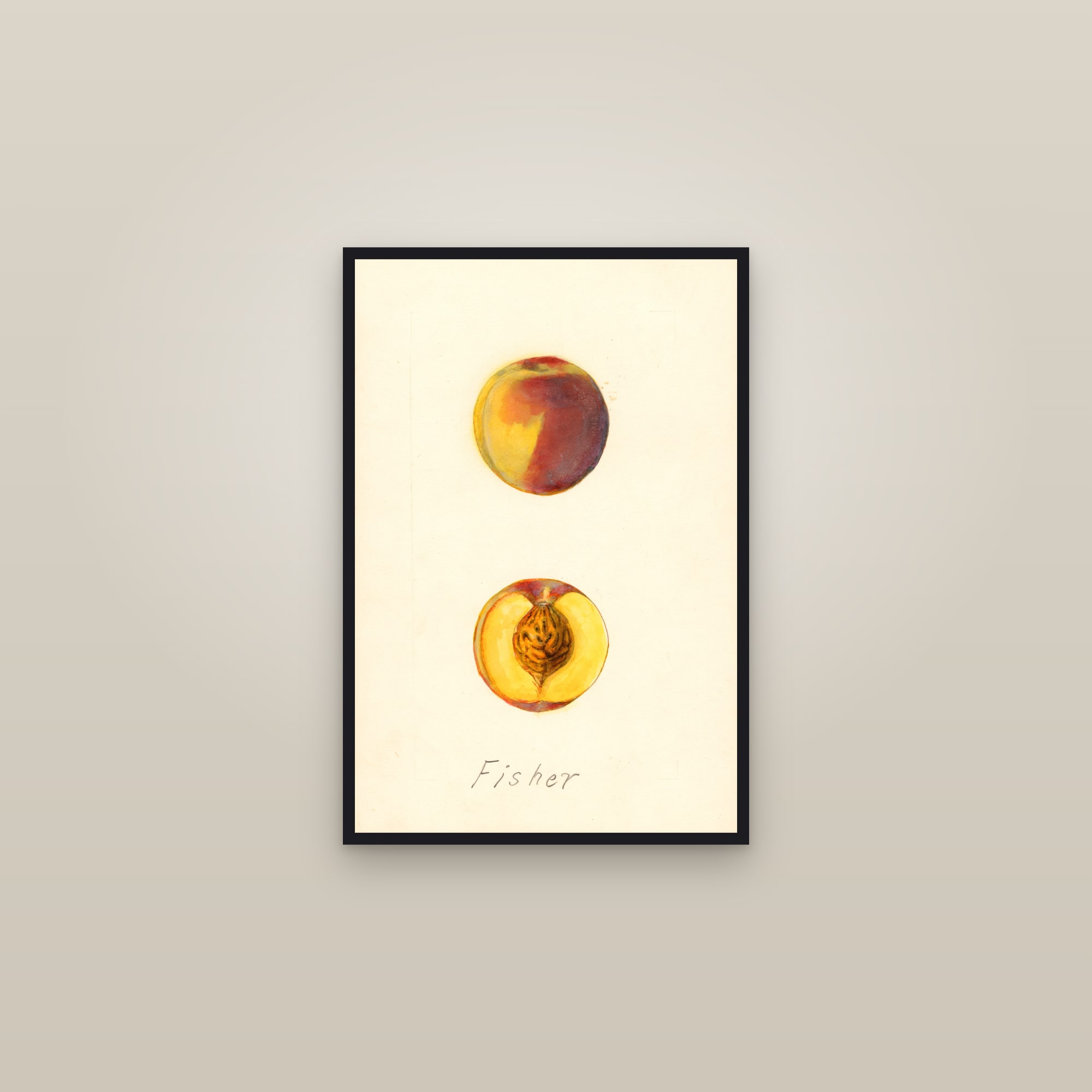 Fisher Peach — framed in a gallery setting