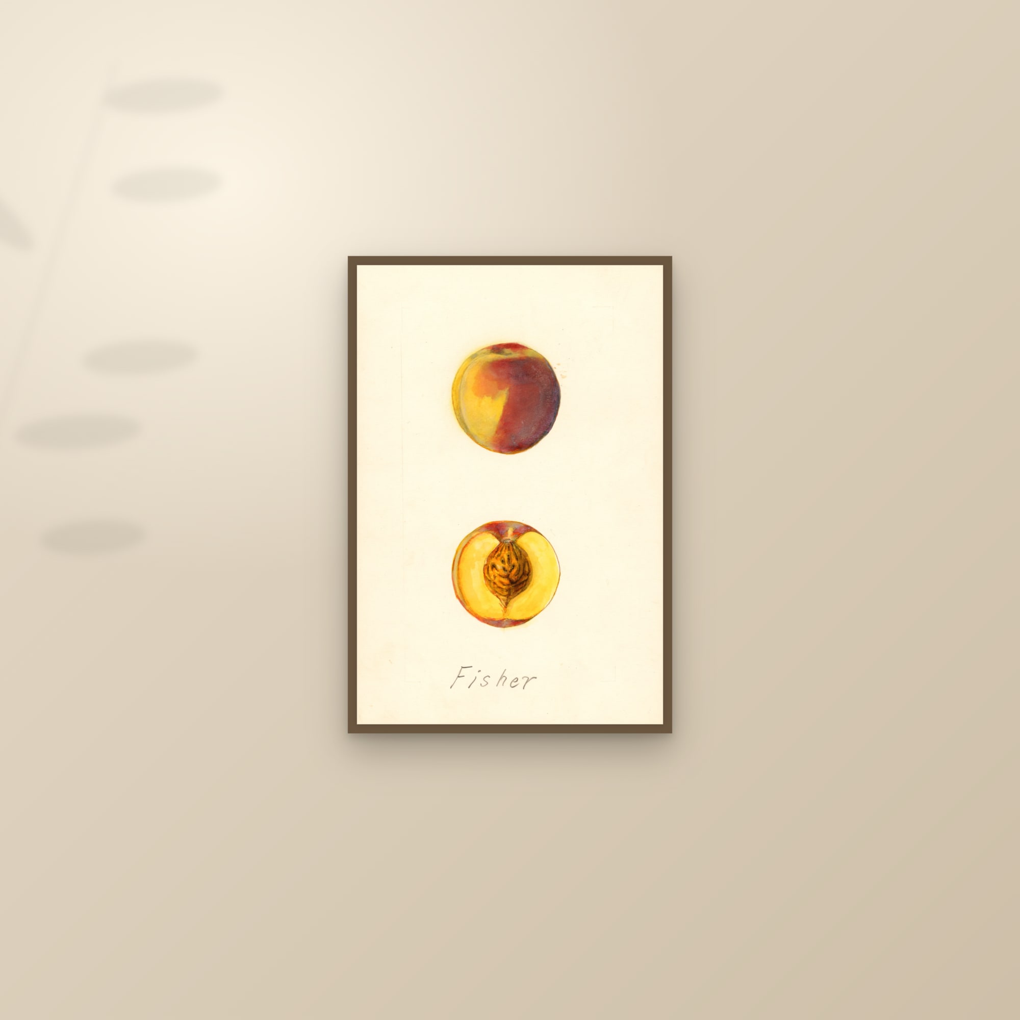 Fisher Peach — framed and styled on a sunlit wall