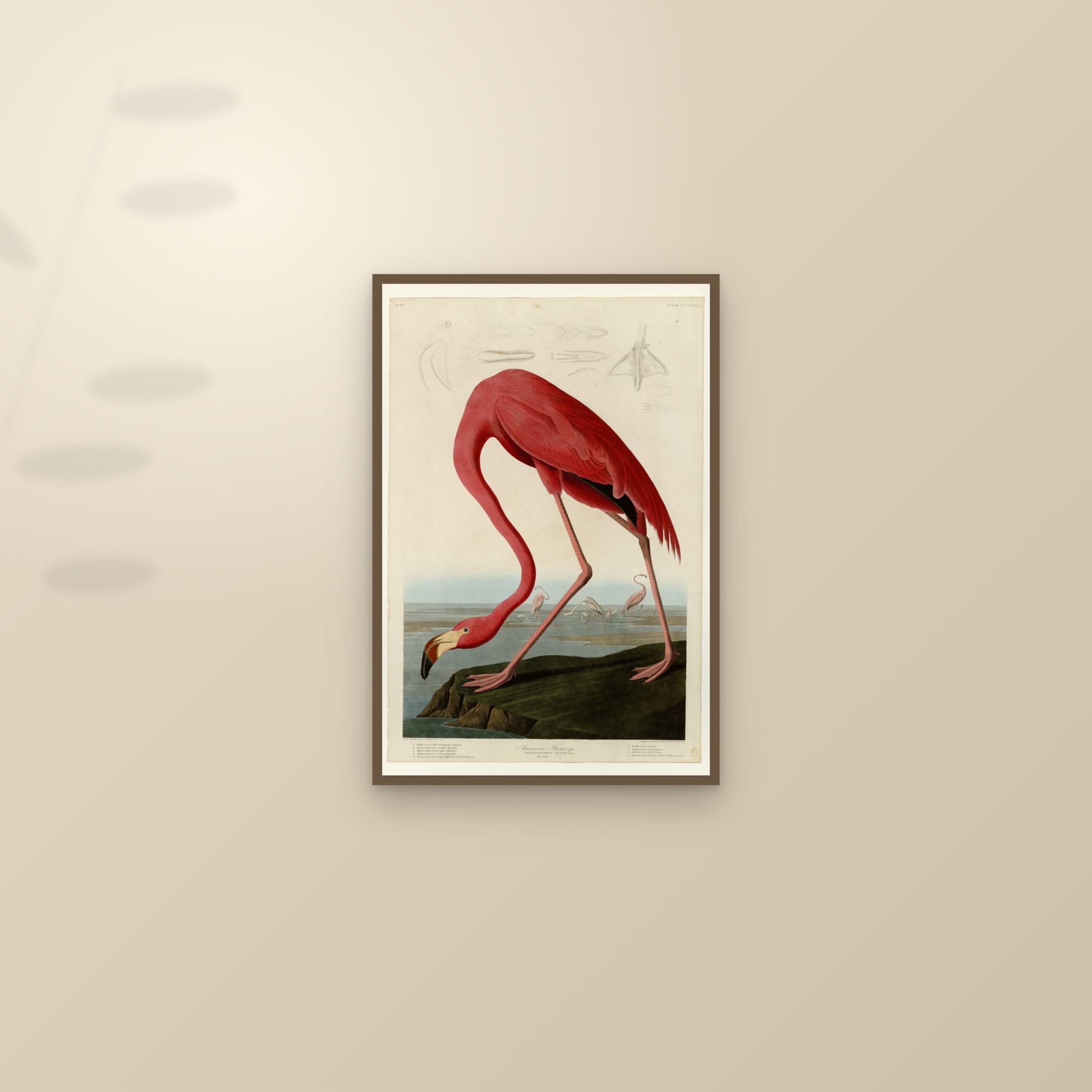 Framed flamingo print styled on a wall