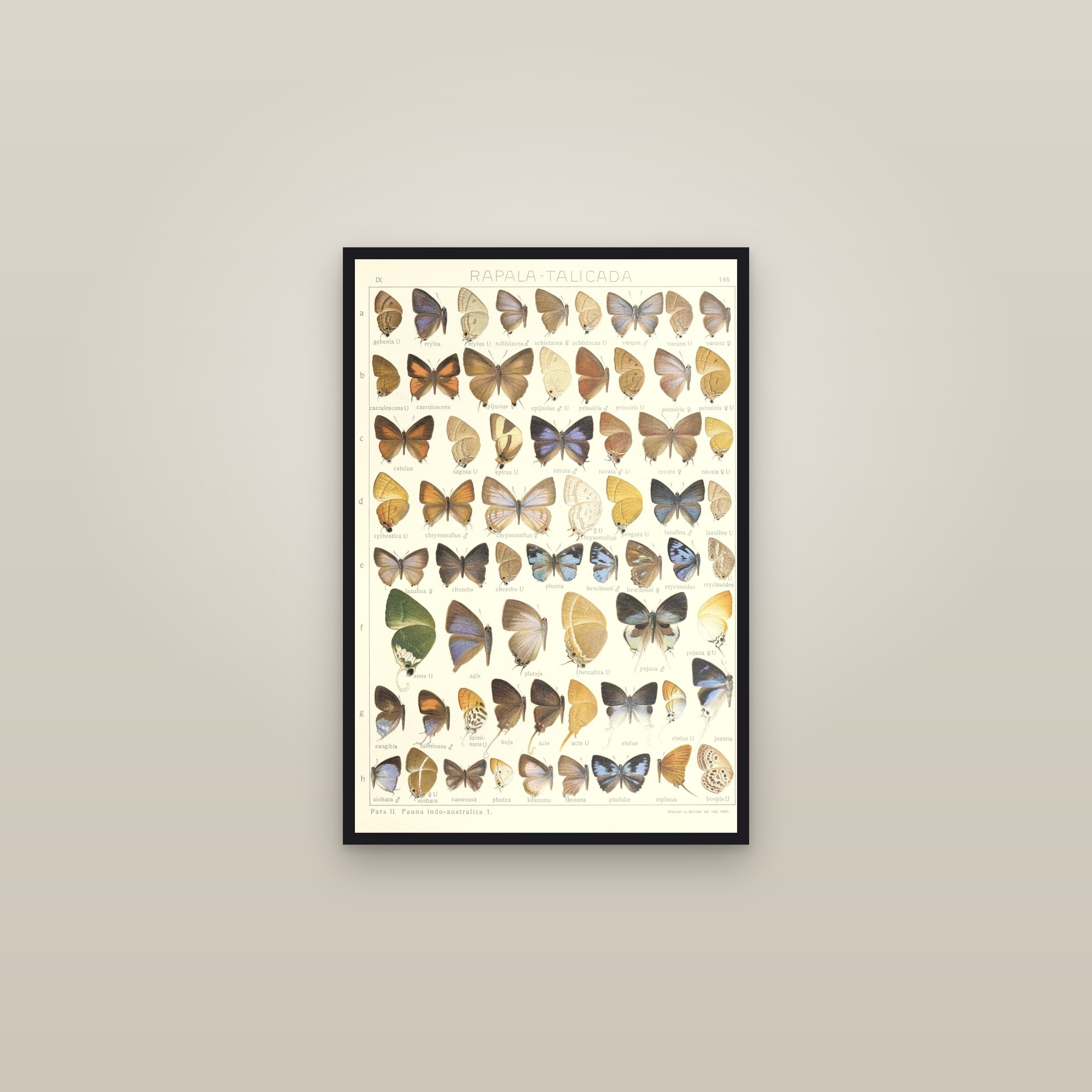 Flash and Cerulean Blues — framed in a gallery setting