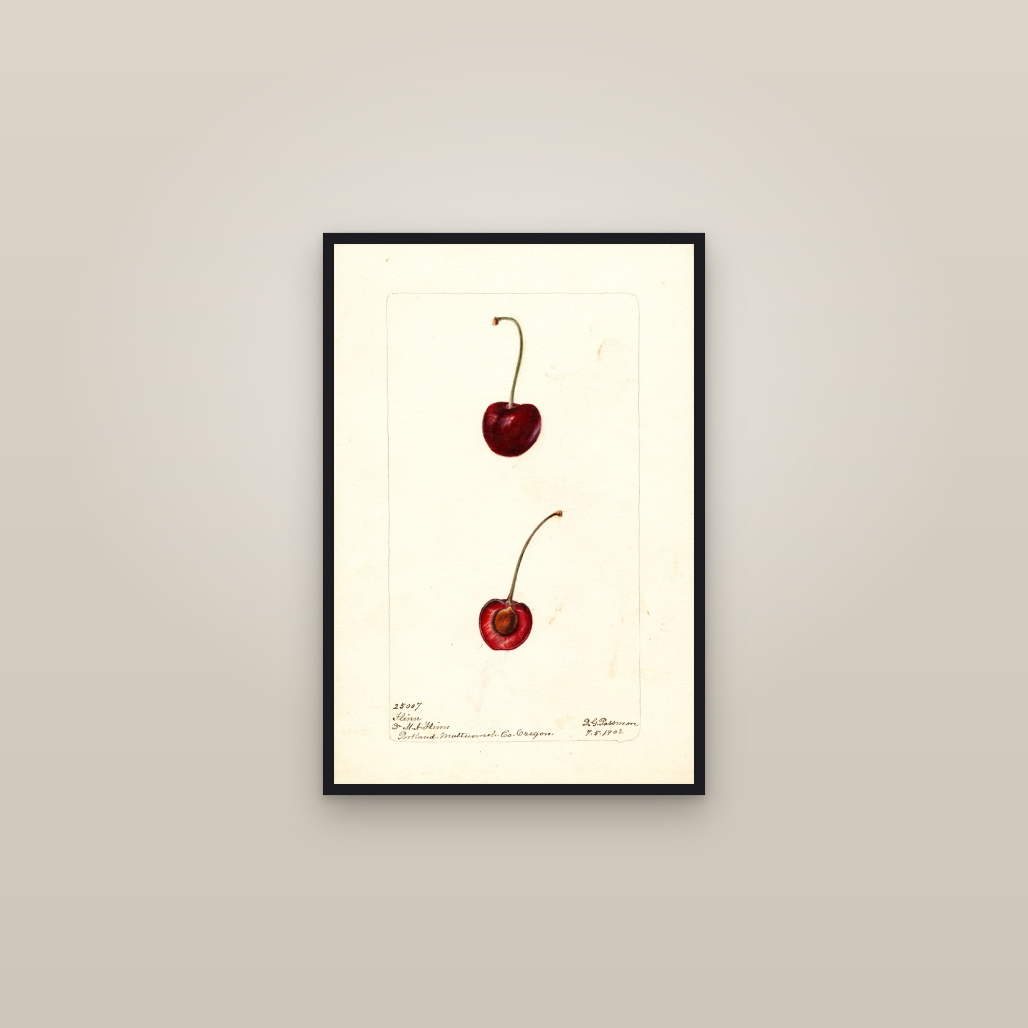 Flinn Cherry — framed in a gallery setting
