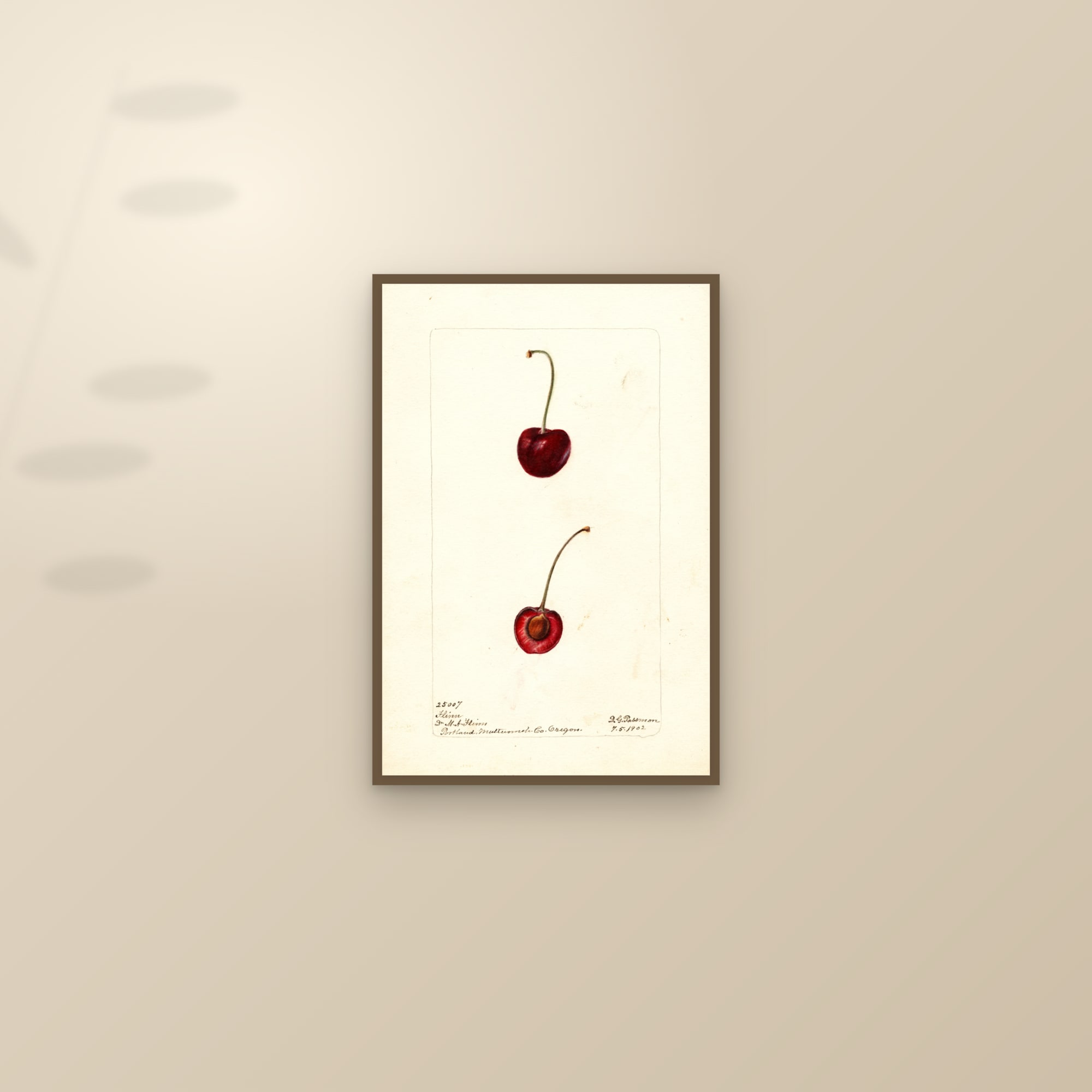 Flinn Cherry — framed and styled on a sunlit wall