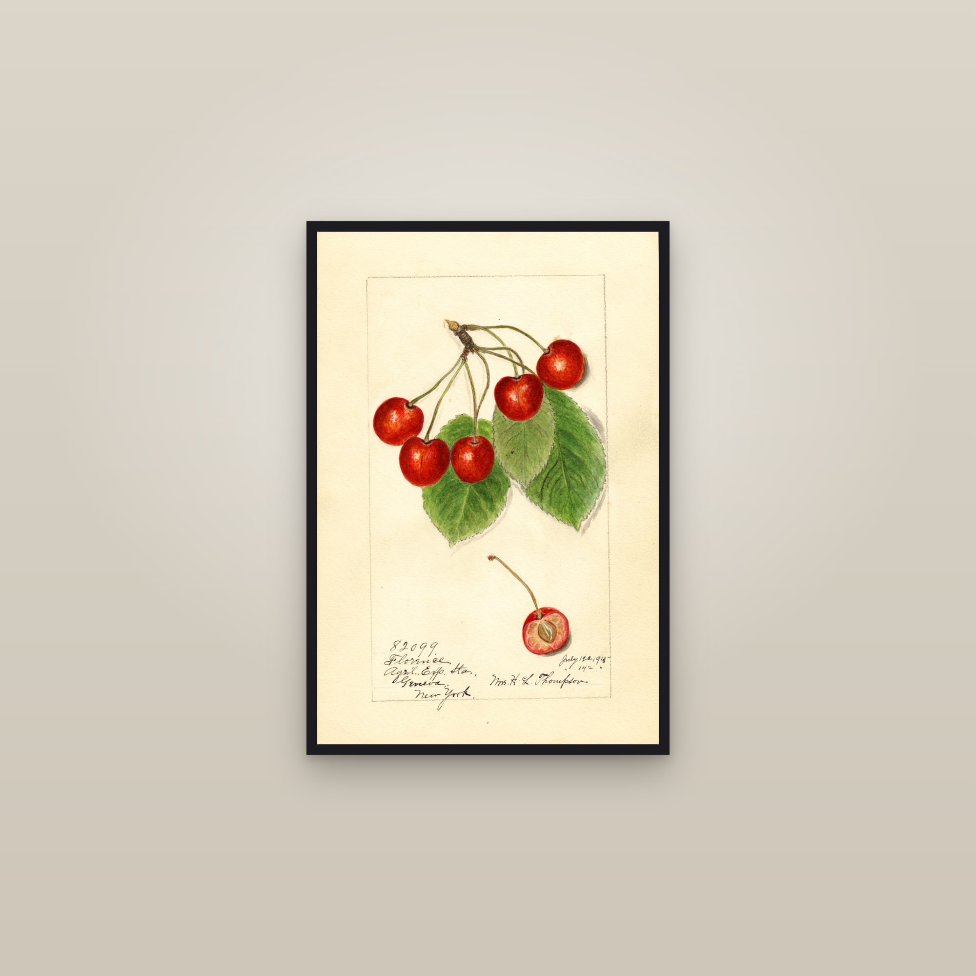 Florence Cherry — framed in a gallery setting