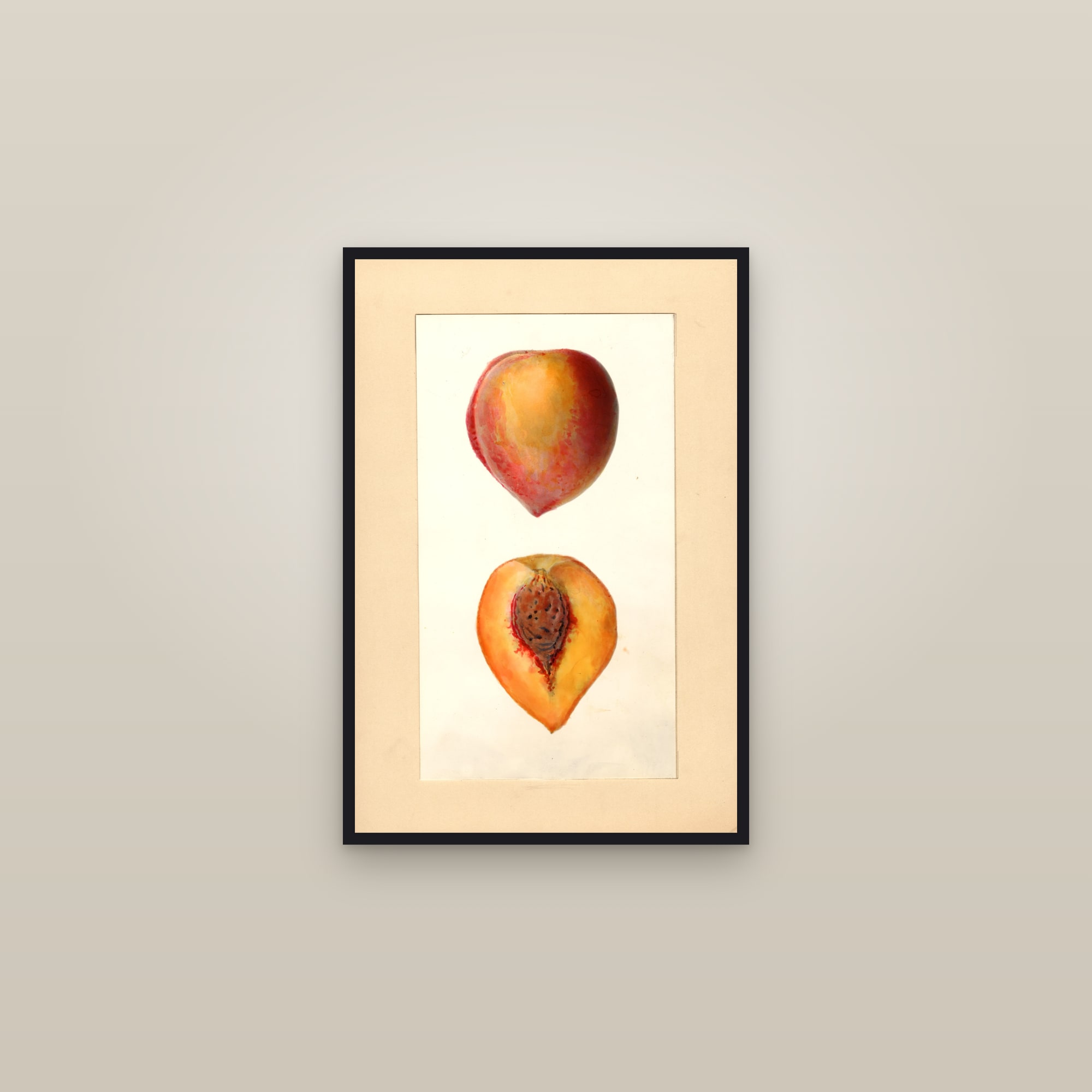 Ford Valley Peach — framed in a gallery setting
