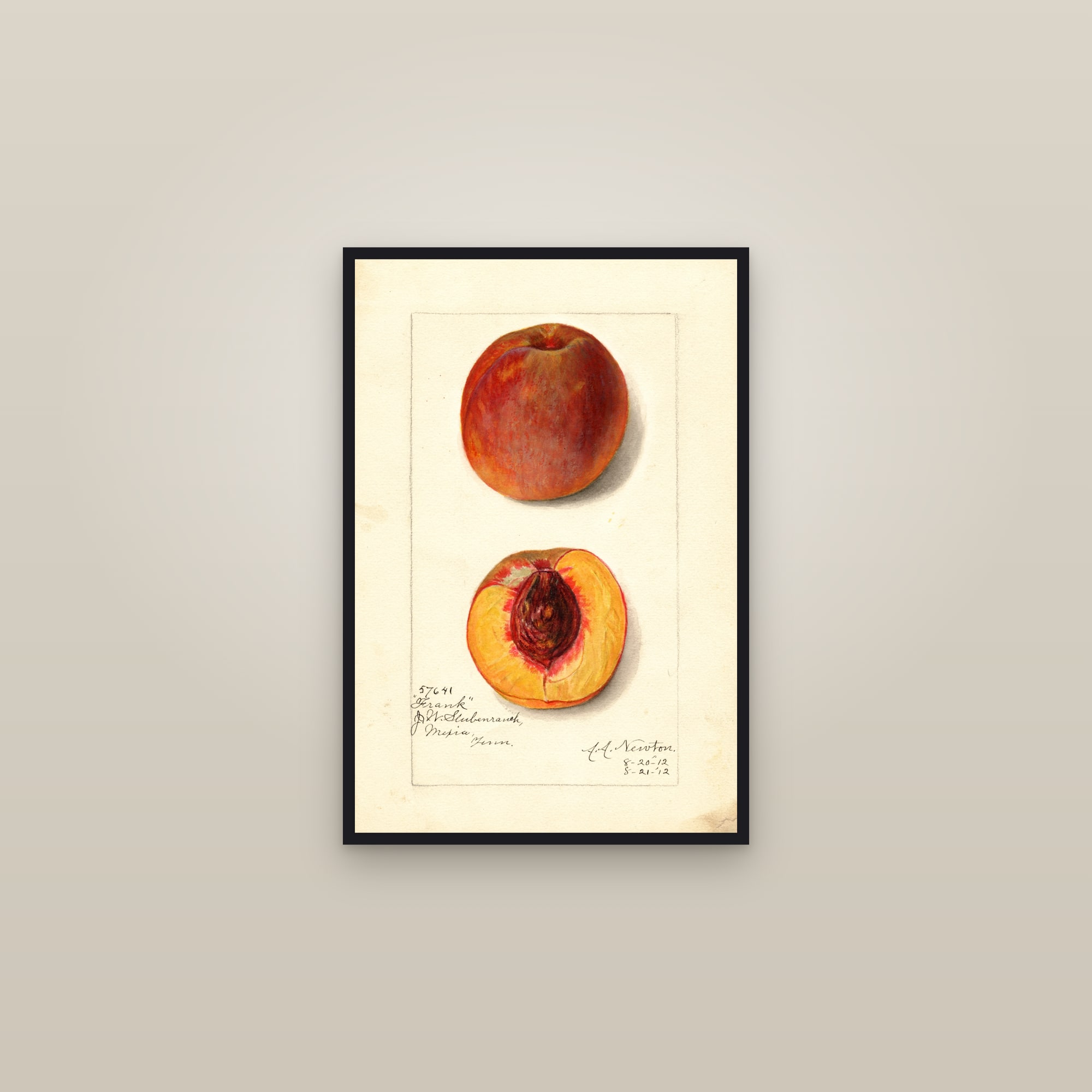 Frank Peach — framed in a gallery setting