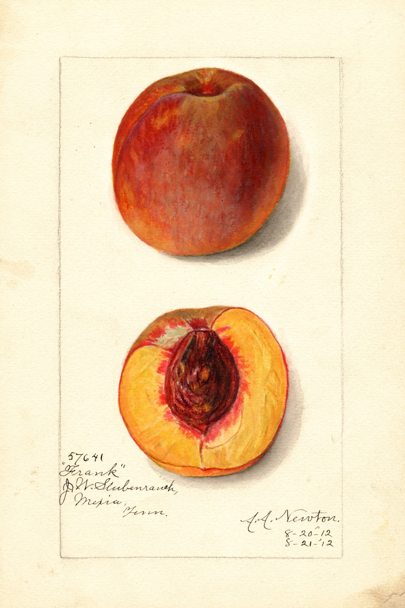 Frank Peach