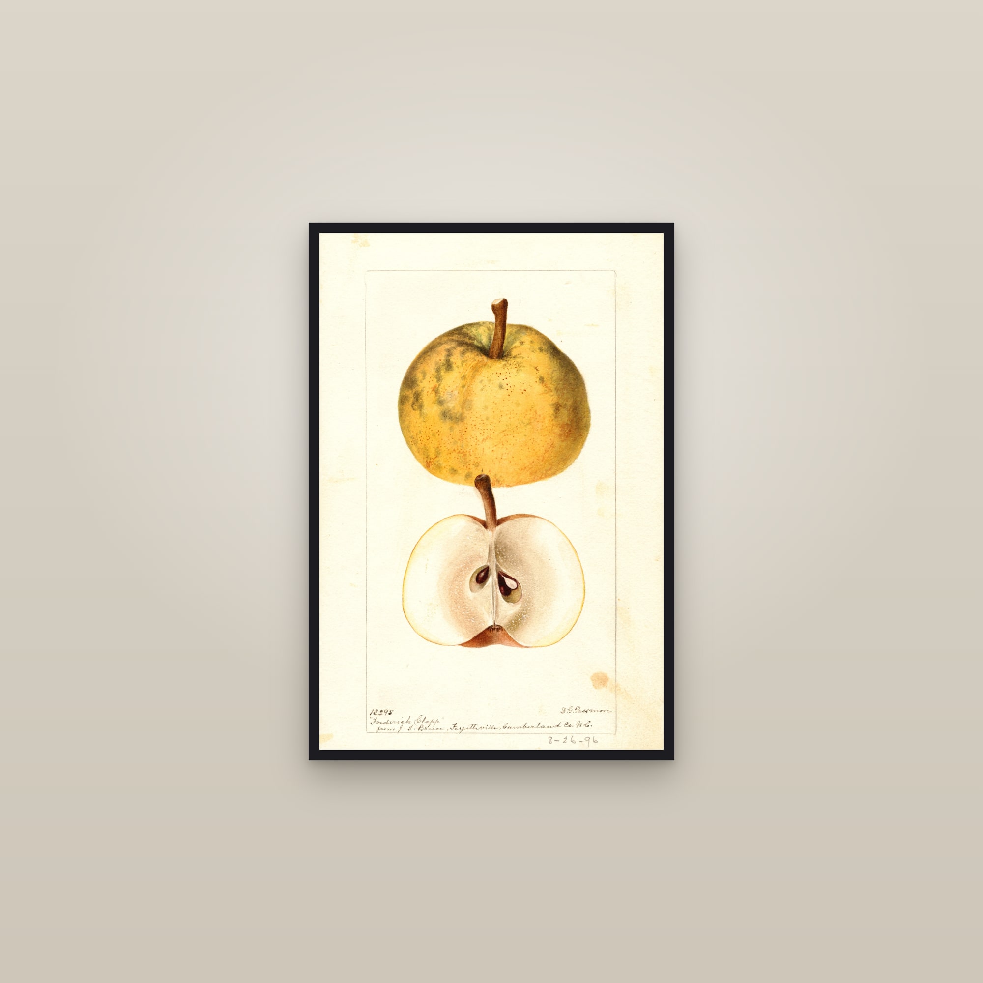 Frederick Clapp Pear — framed in a gallery setting