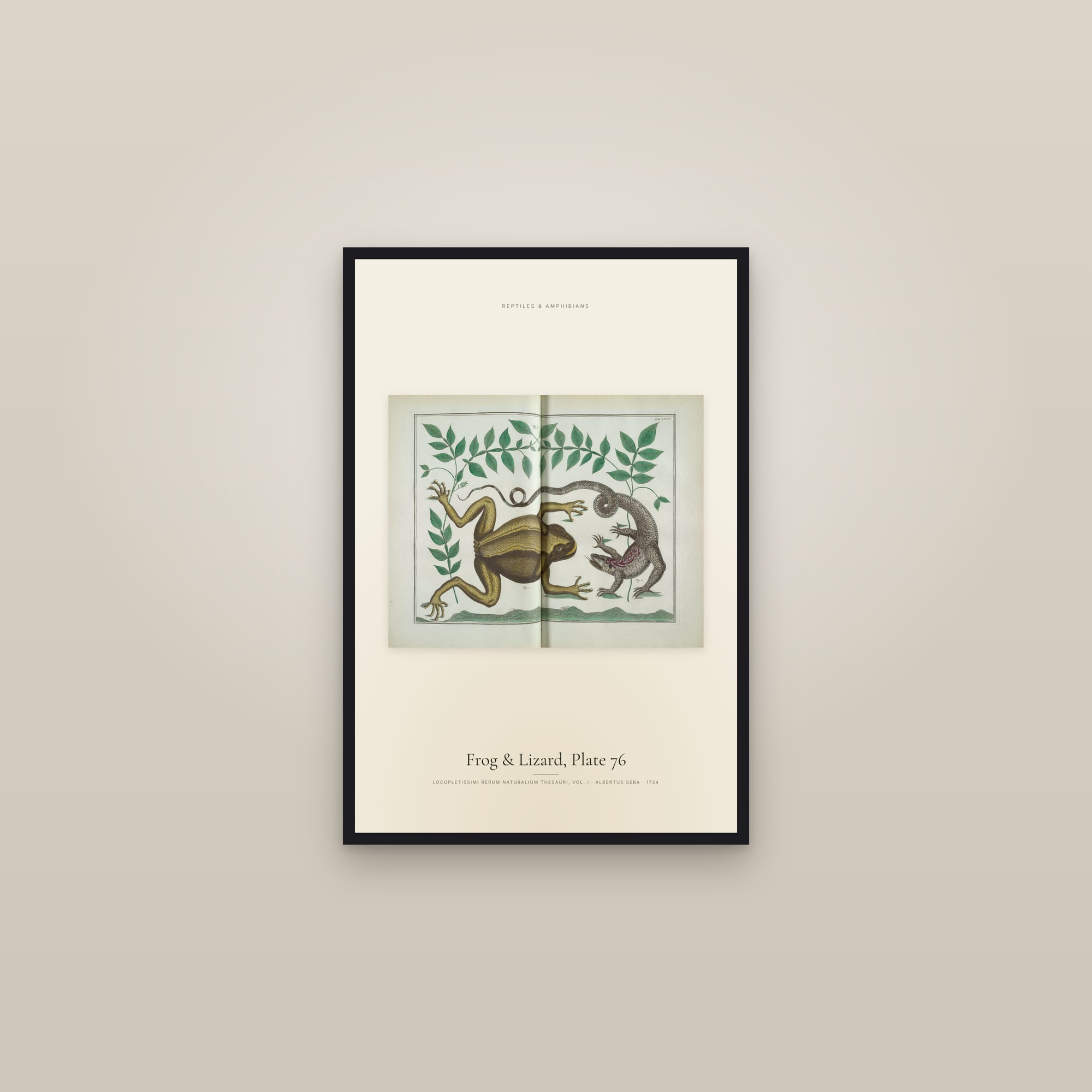 Frog & Lizard, Plate 76