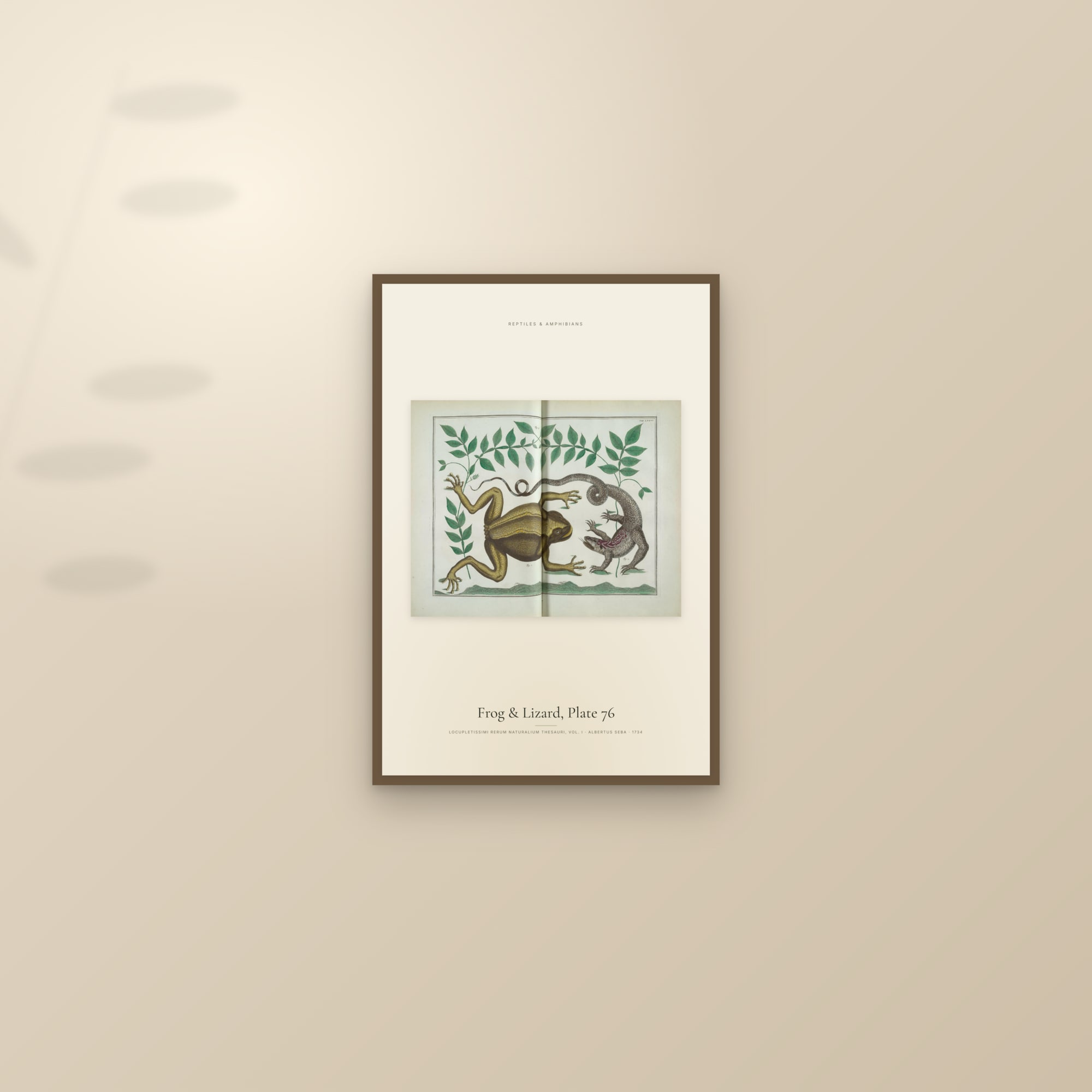 Frog & Lizard, Plate 76 — framed and styled on a sunlit wall