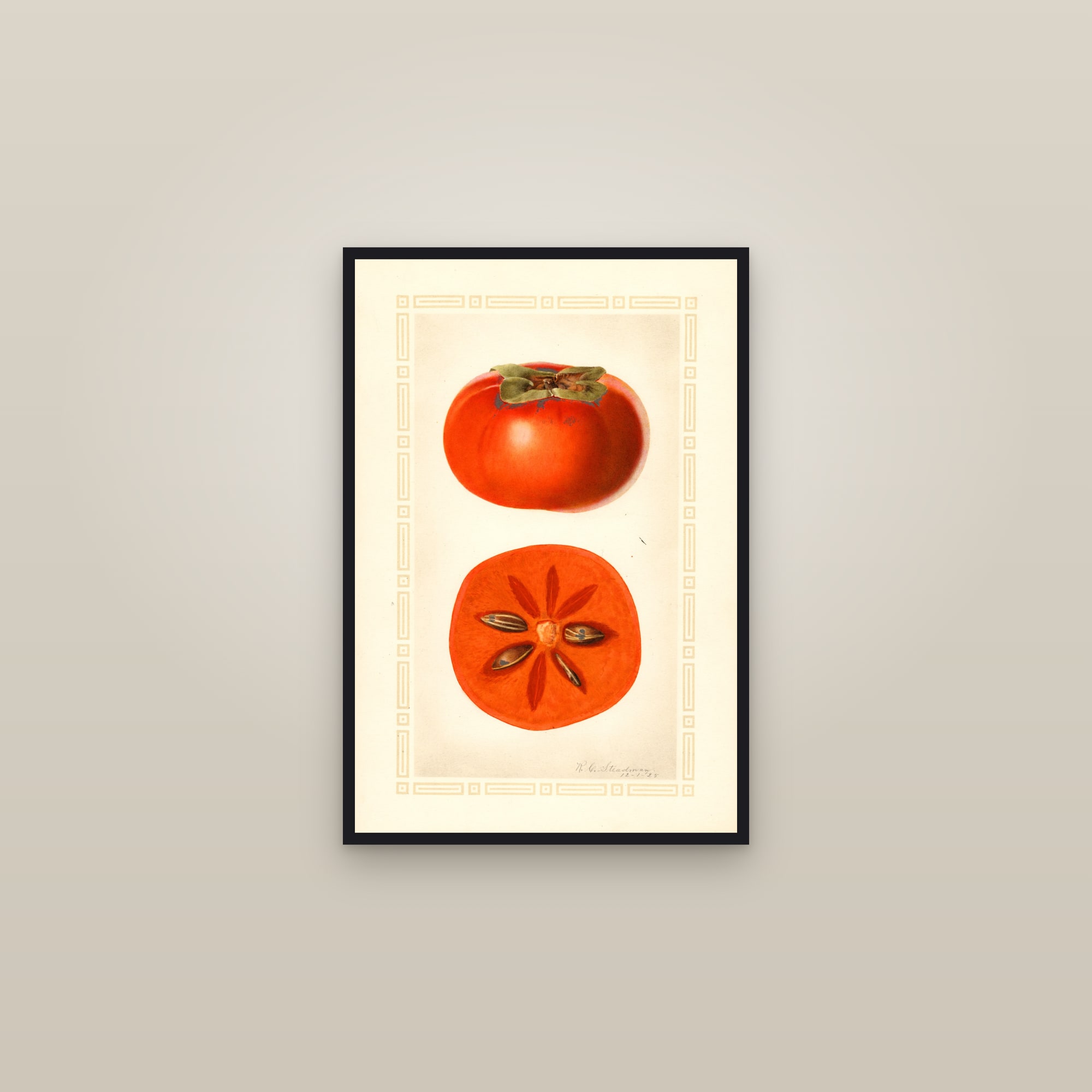 Fuyu Persimmon — framed in a gallery setting