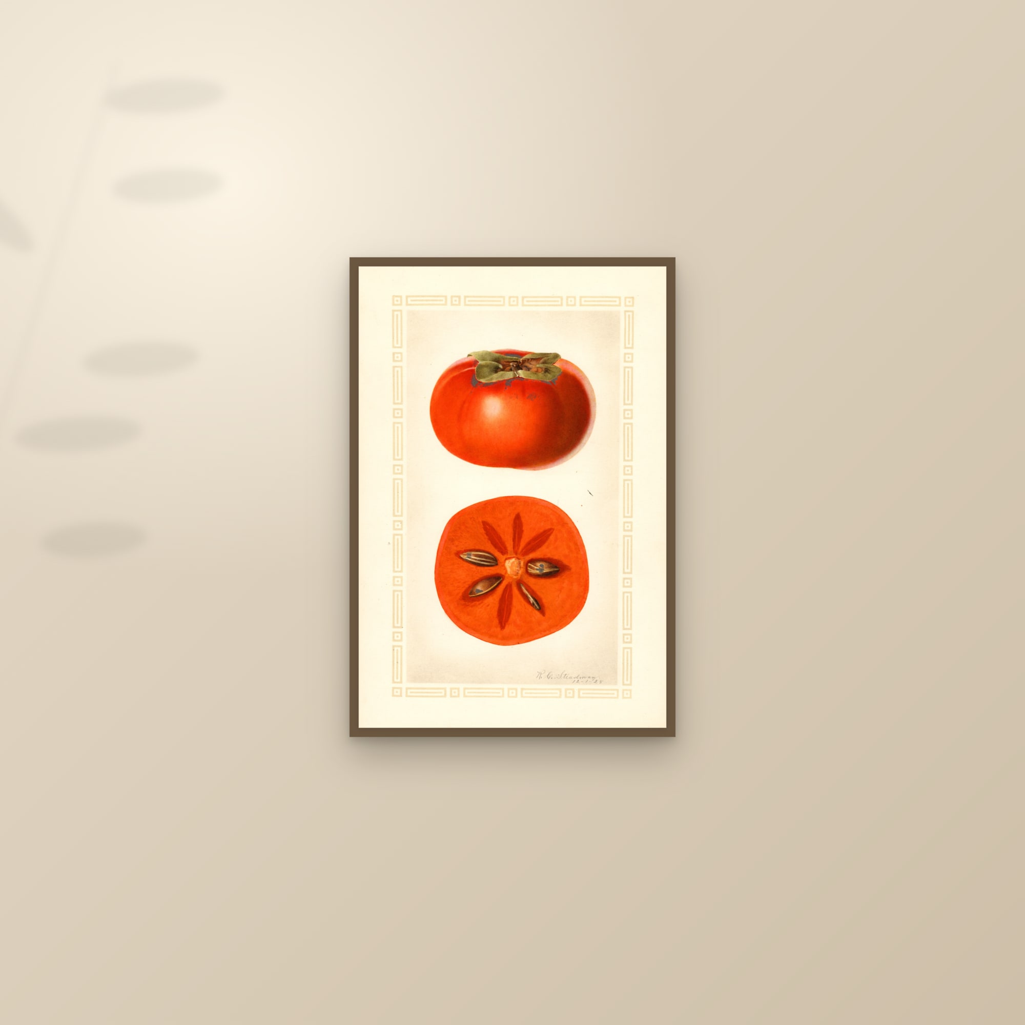 Fuyu Persimmon — framed and styled on a sunlit wall