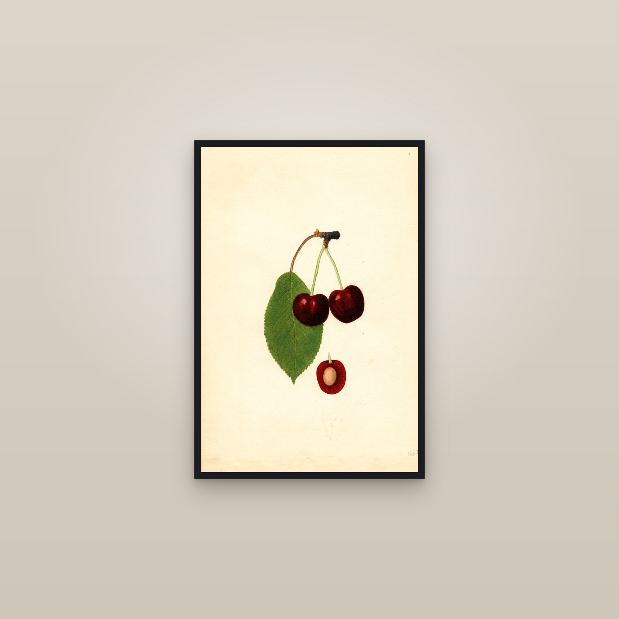 Garibaldi Cherry — framed in a gallery setting