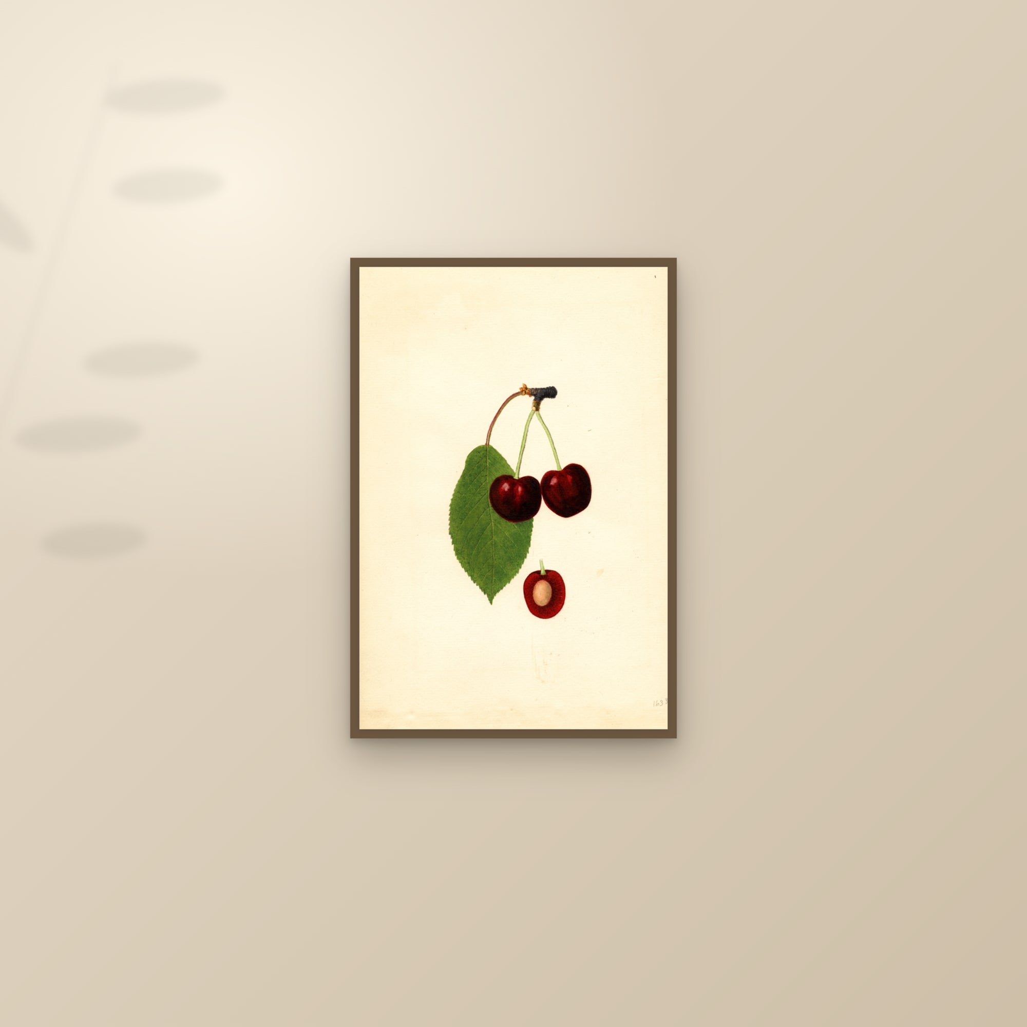Garibaldi Cherry — framed and styled on a sunlit wall