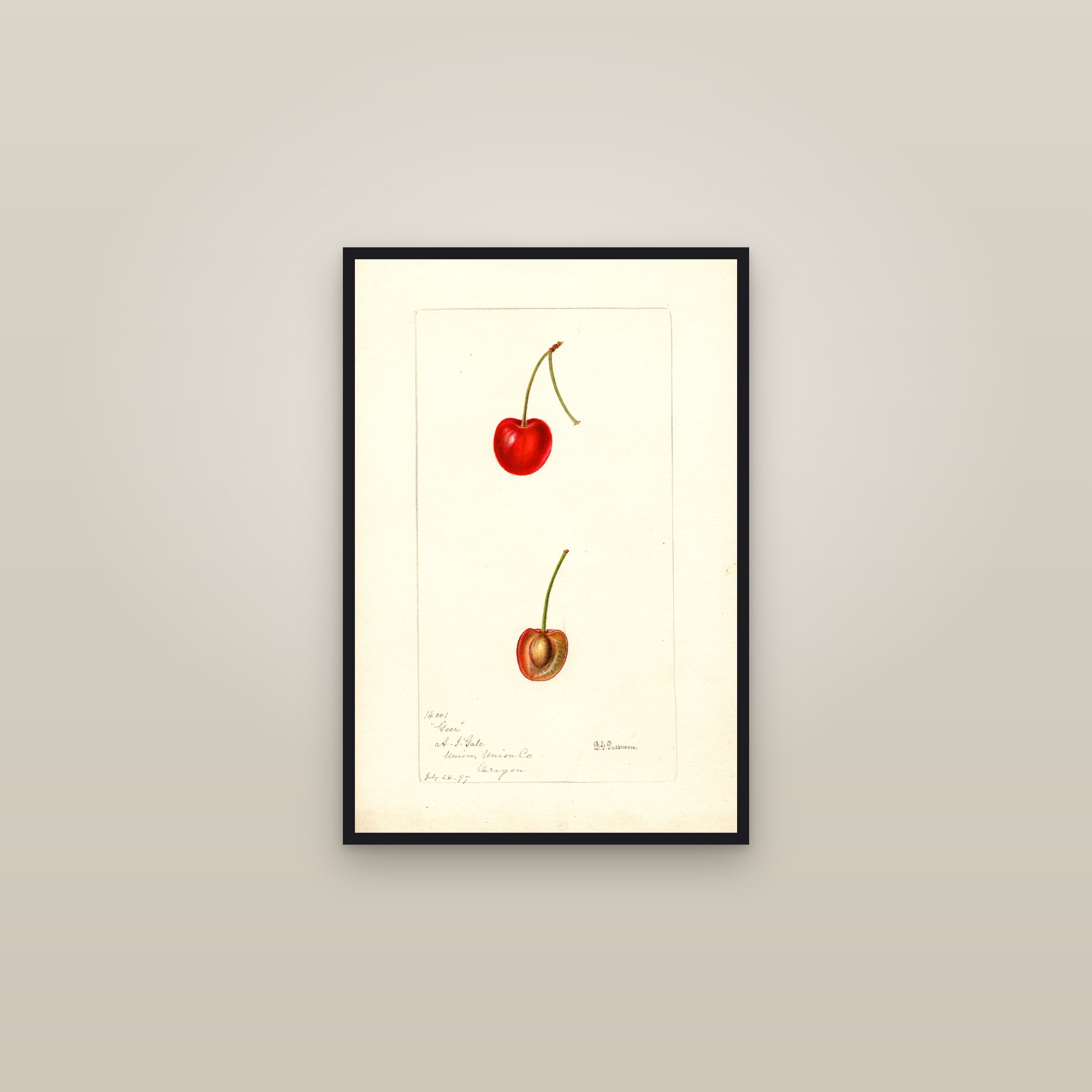 Geer Cherry — framed in a gallery setting