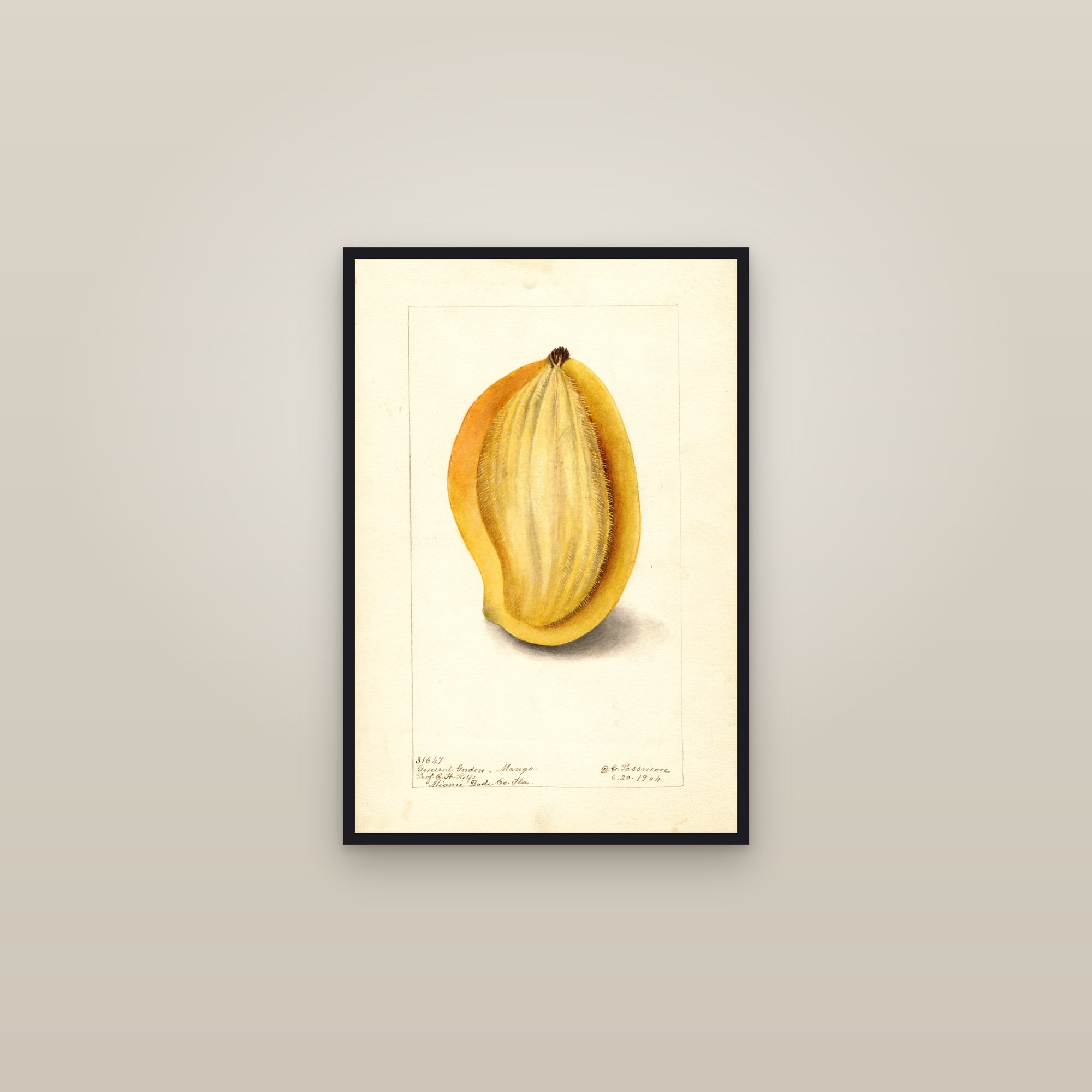 General Gordon Mango — framed in a gallery setting