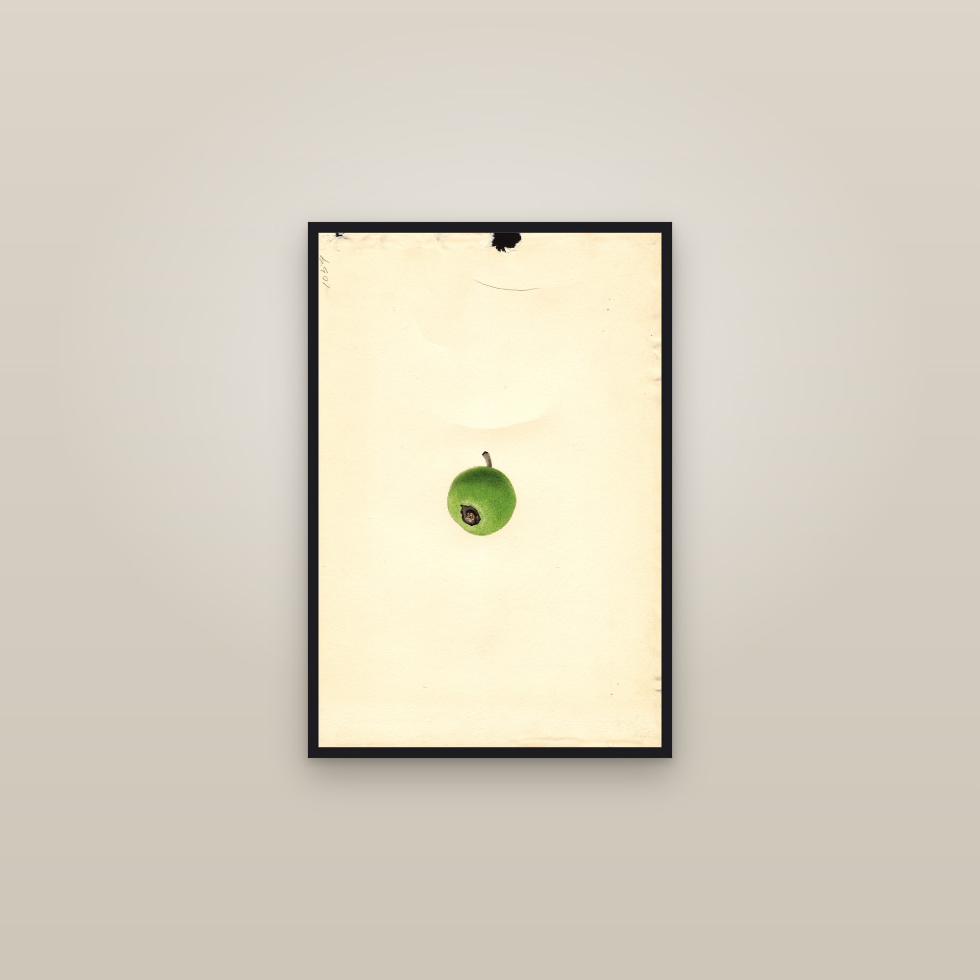 Givens Apple — framed in a gallery setting