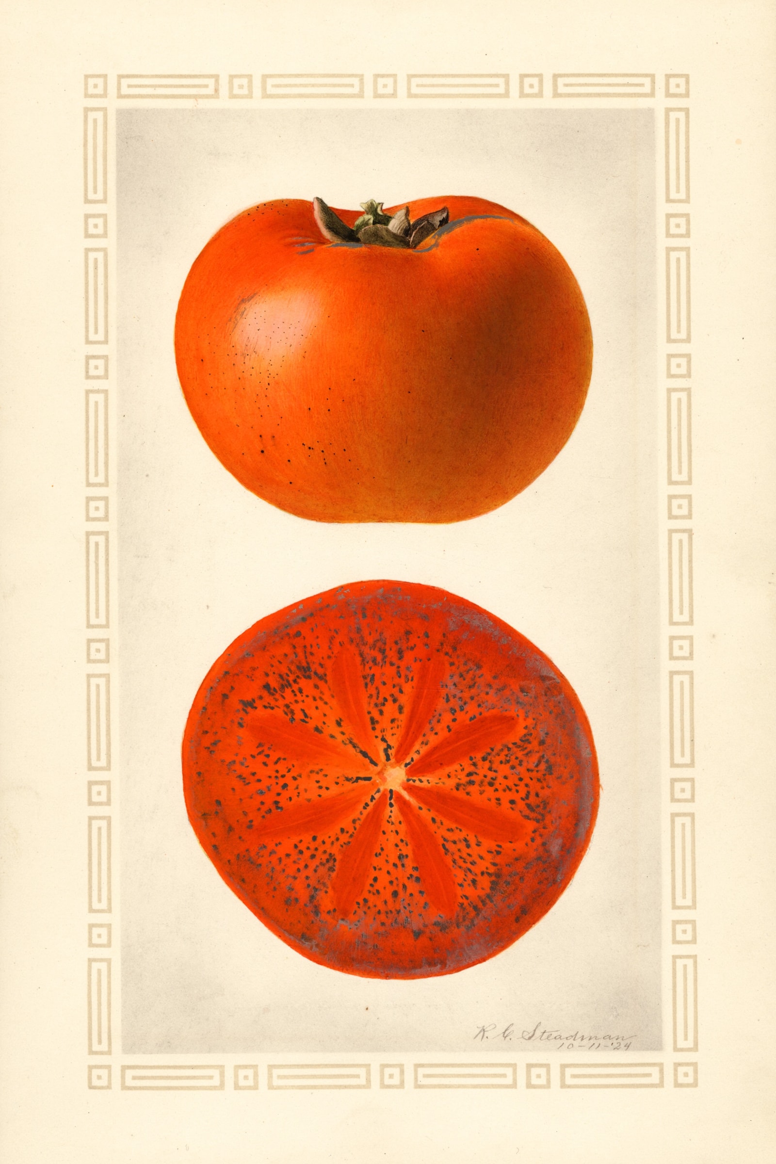 Godbey Persimmon
