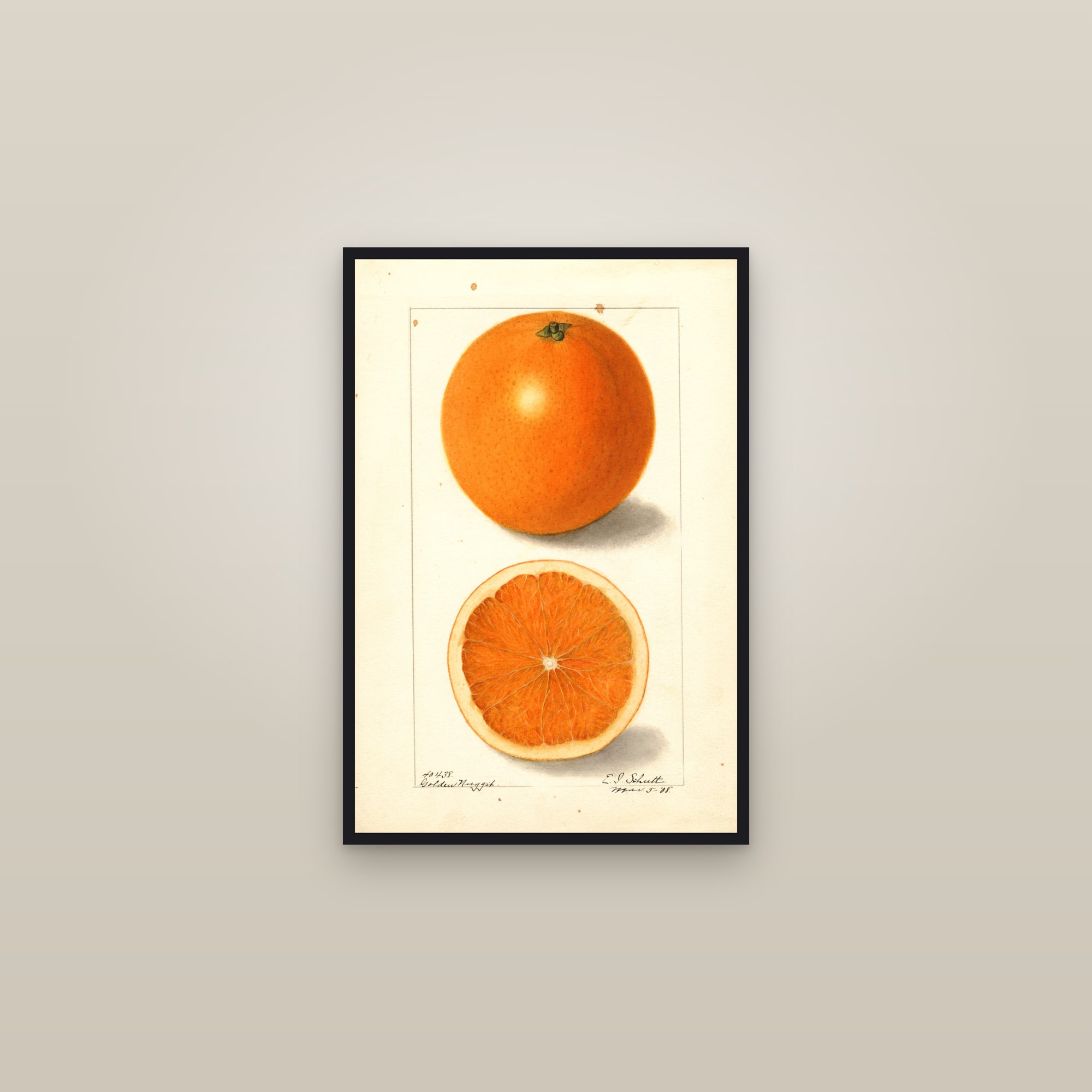 Golden Nugget Orange — framed in a gallery setting