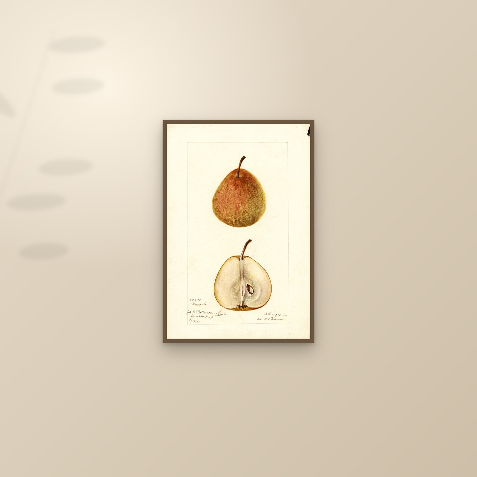 Goodale Pear — framed and styled on a sunlit wall