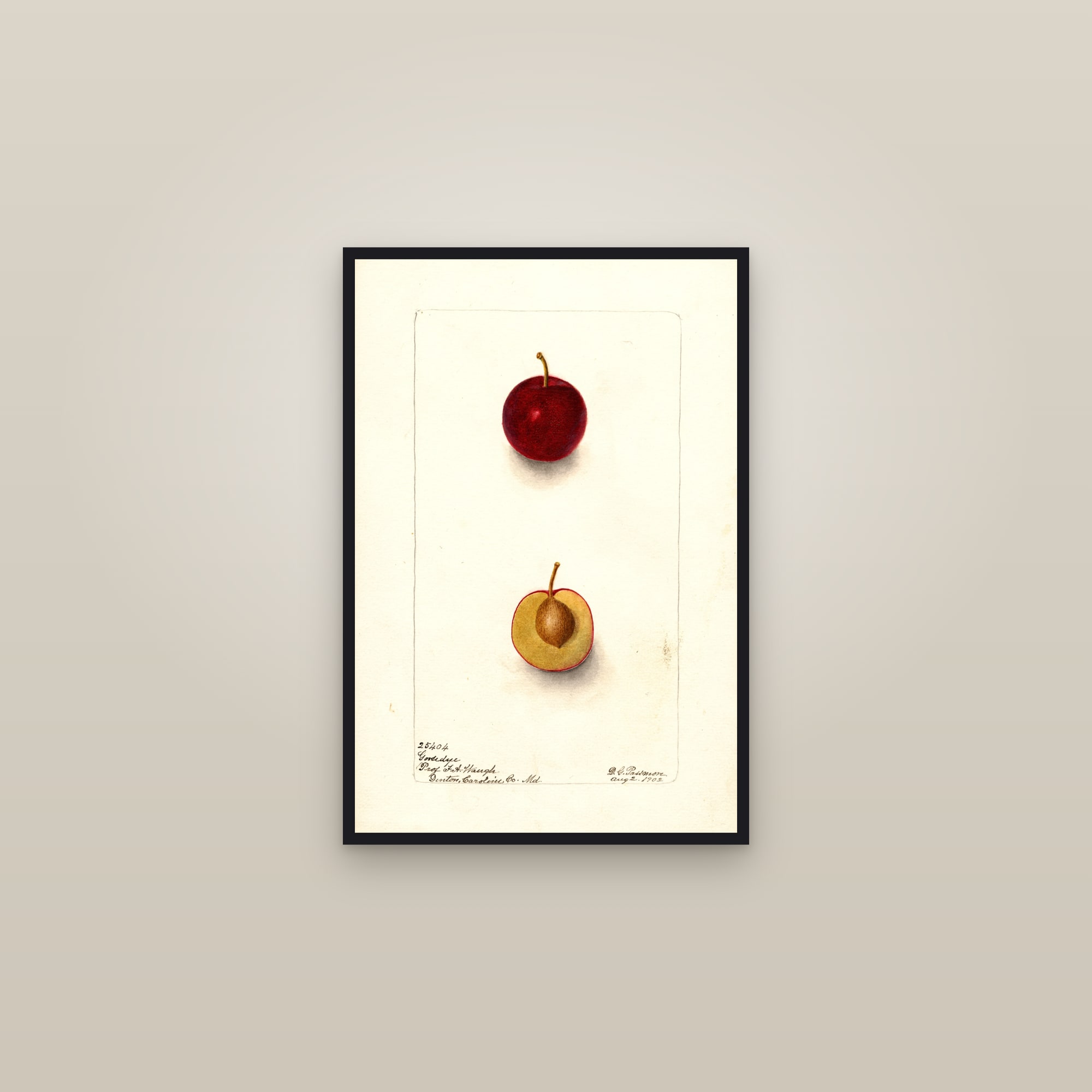 Goosedye Plum — framed in a gallery setting