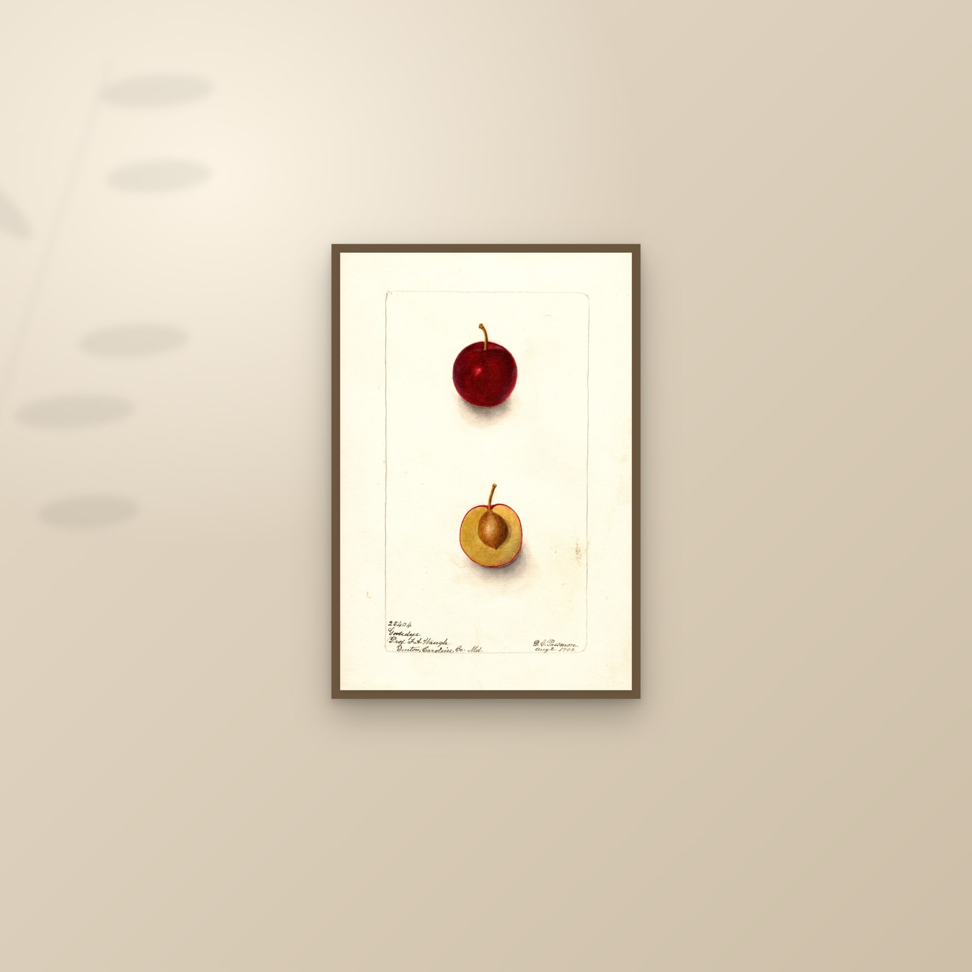Goosedye Plum — framed and styled on a sunlit wall