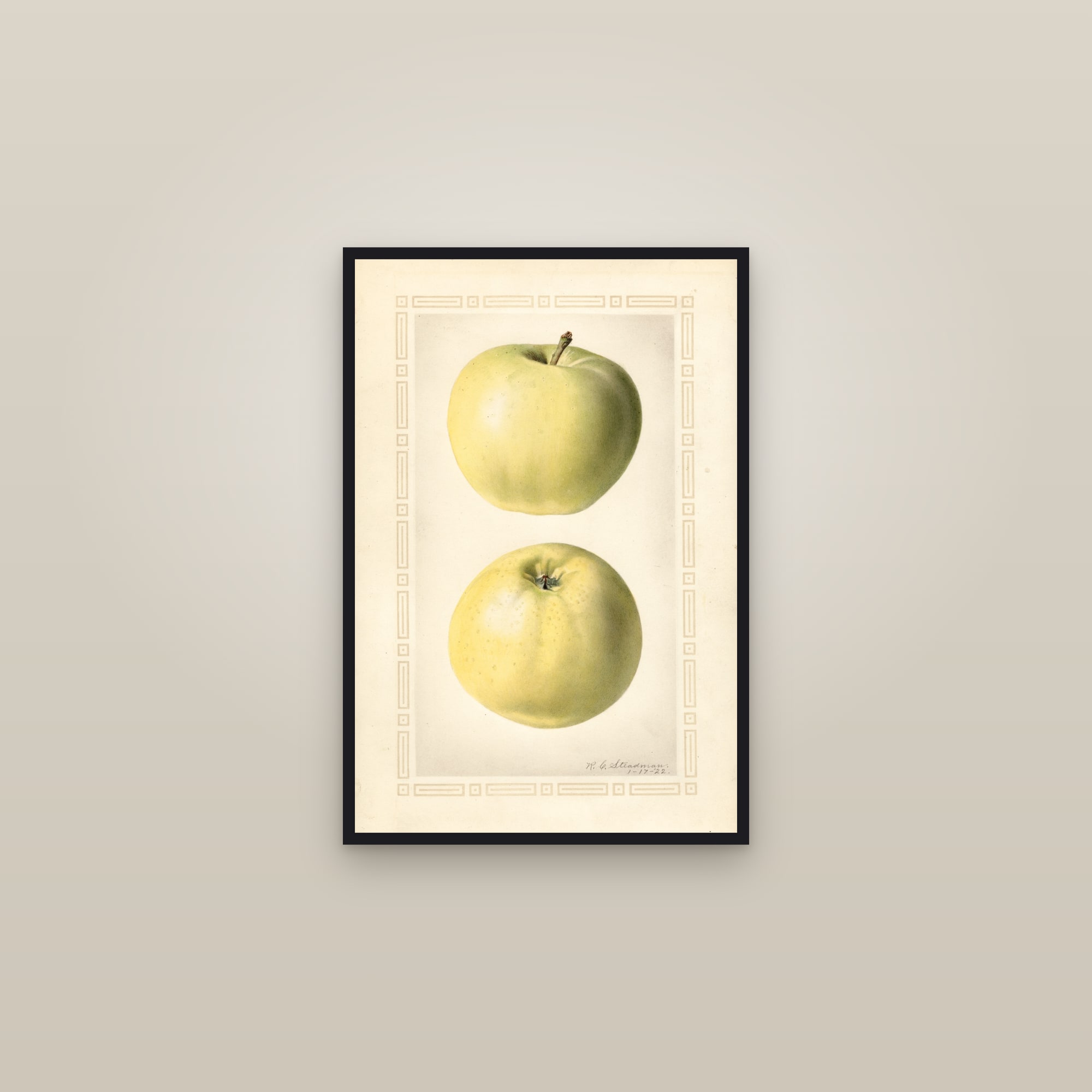 Grand Sultan Apple — framed in a gallery setting