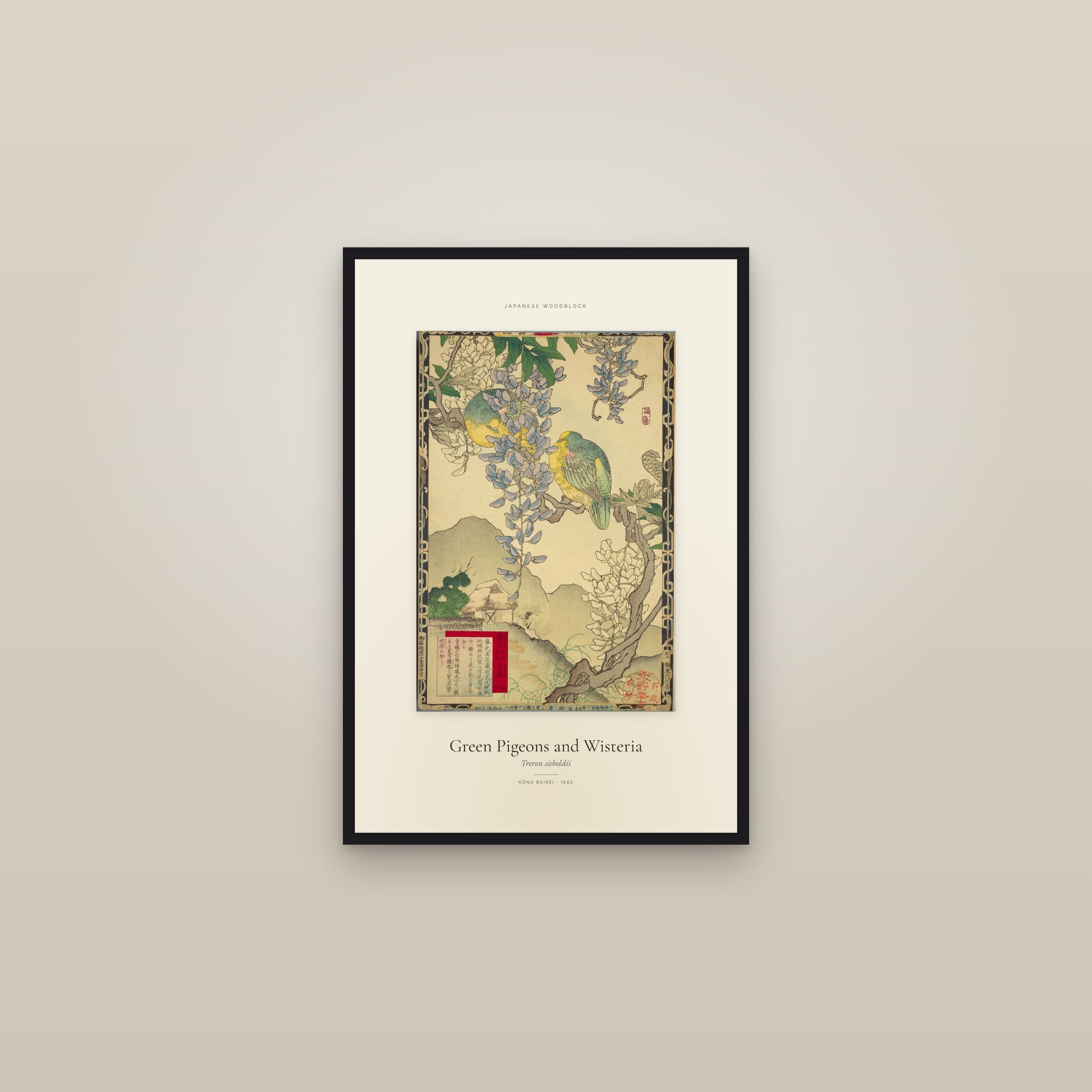 Green Pigeons and Wisteria — Specimen