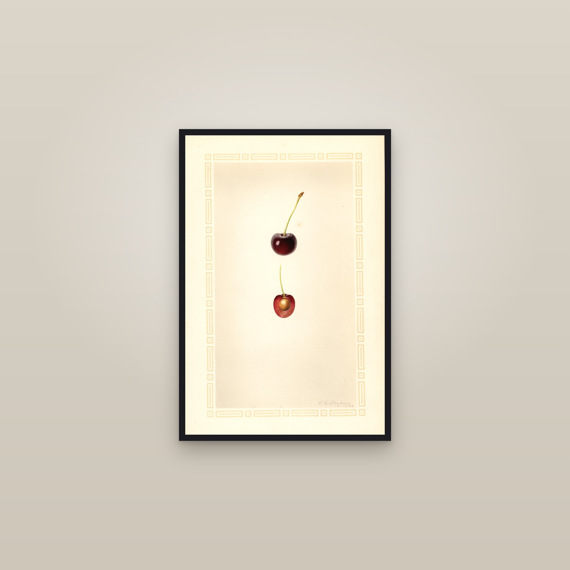 Greenwood Cherry — framed in a gallery setting