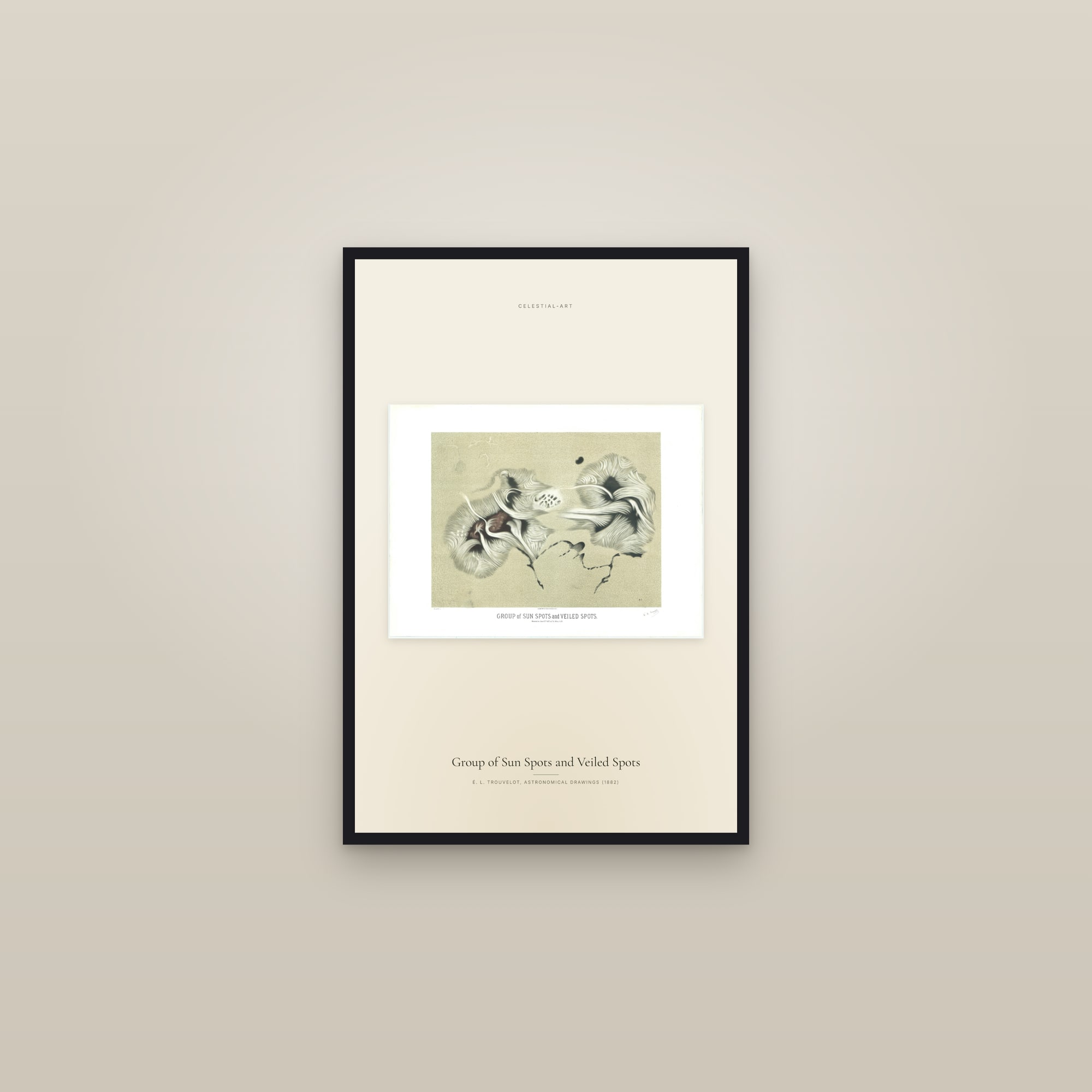 Group of Sun Spots and Veiled Spots — framed in a gallery setting