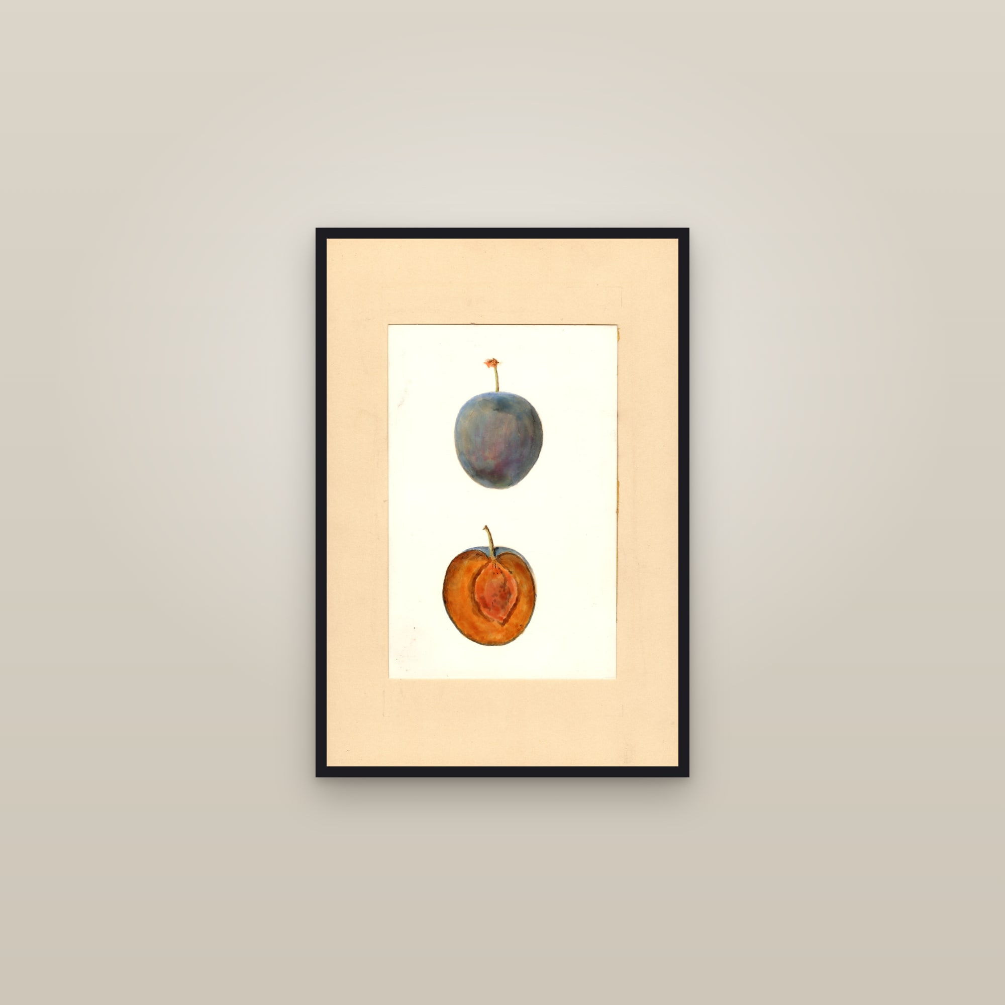 Gueii Plum — framed in a gallery setting