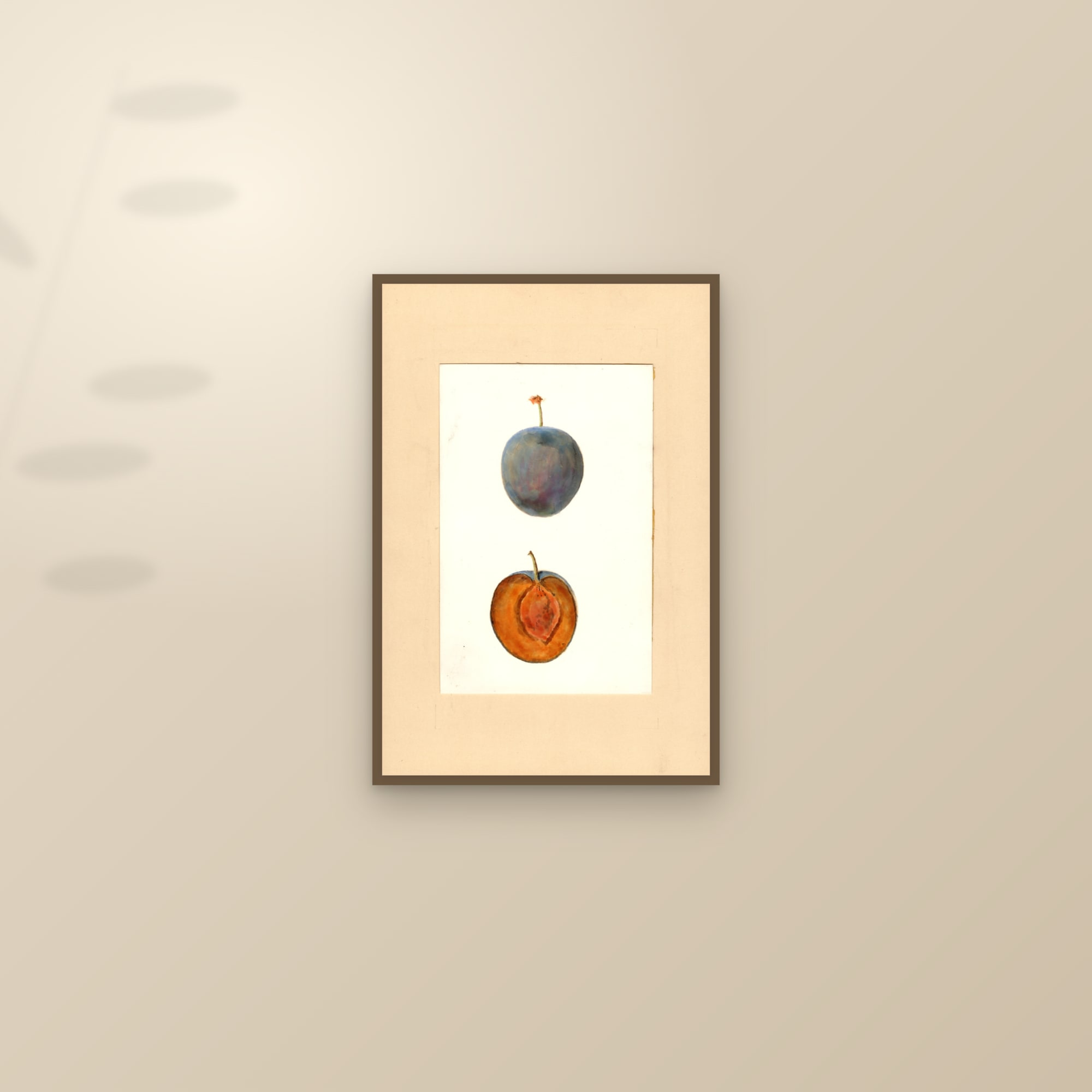 Gueii Plum — framed and styled on a sunlit wall