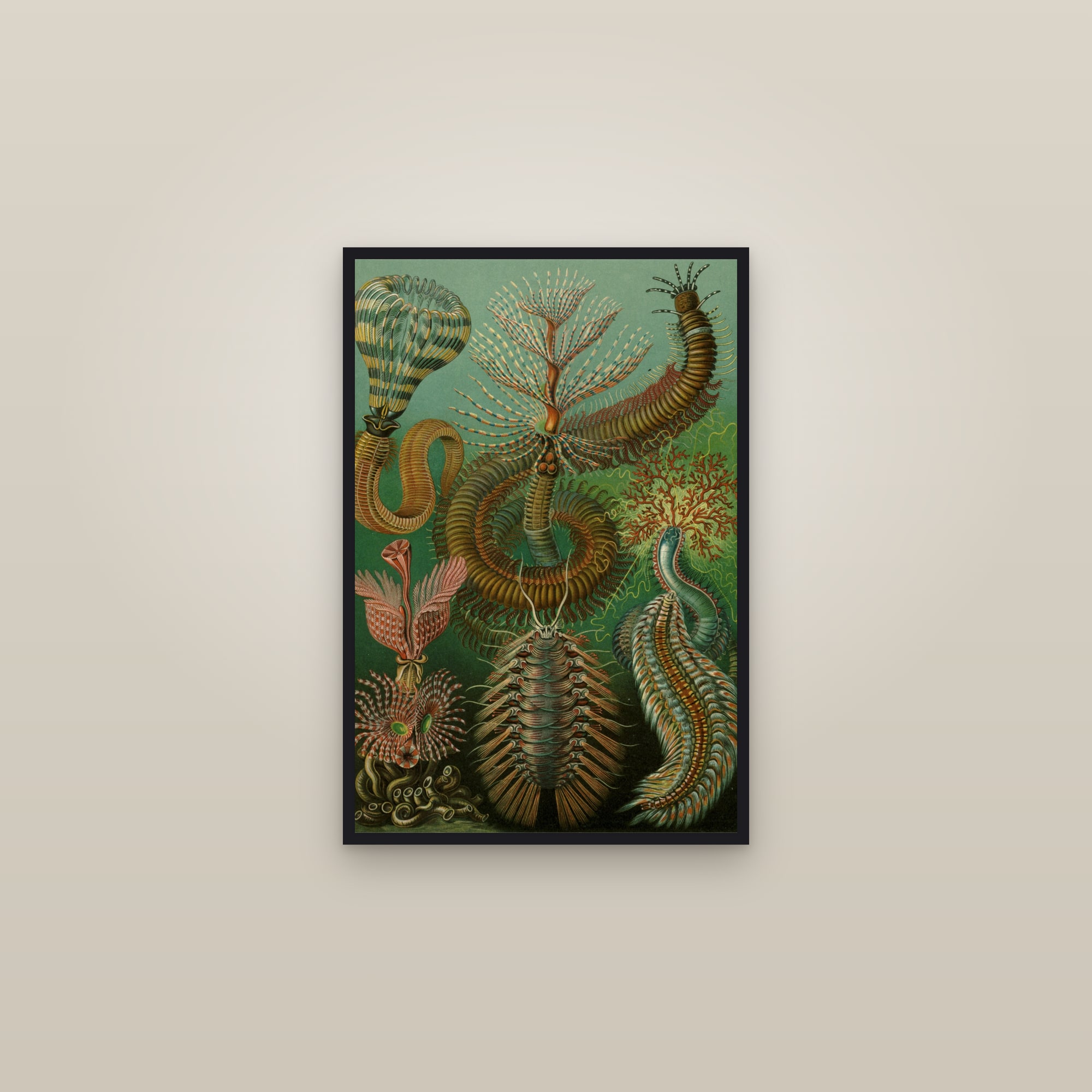 Bristle & Tube Worms — framed in a gallery setting