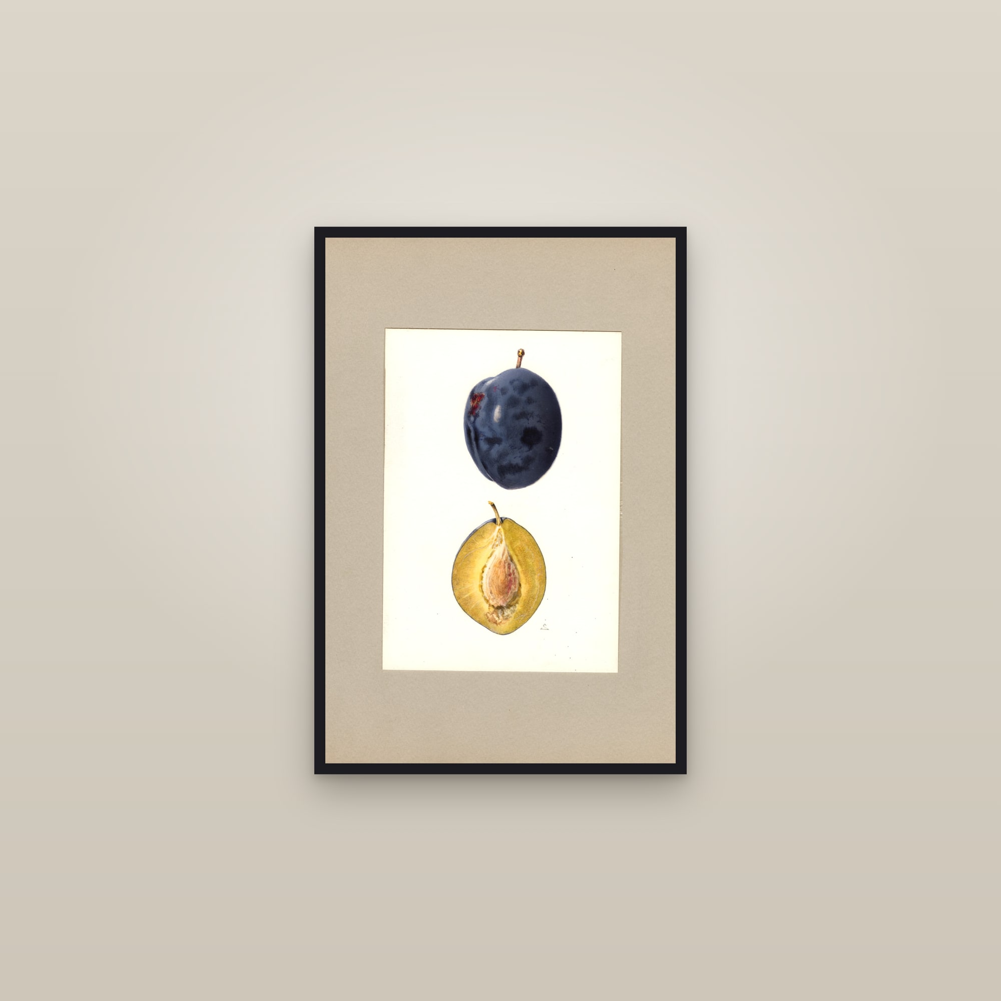 Hall Plum — framed in a gallery setting