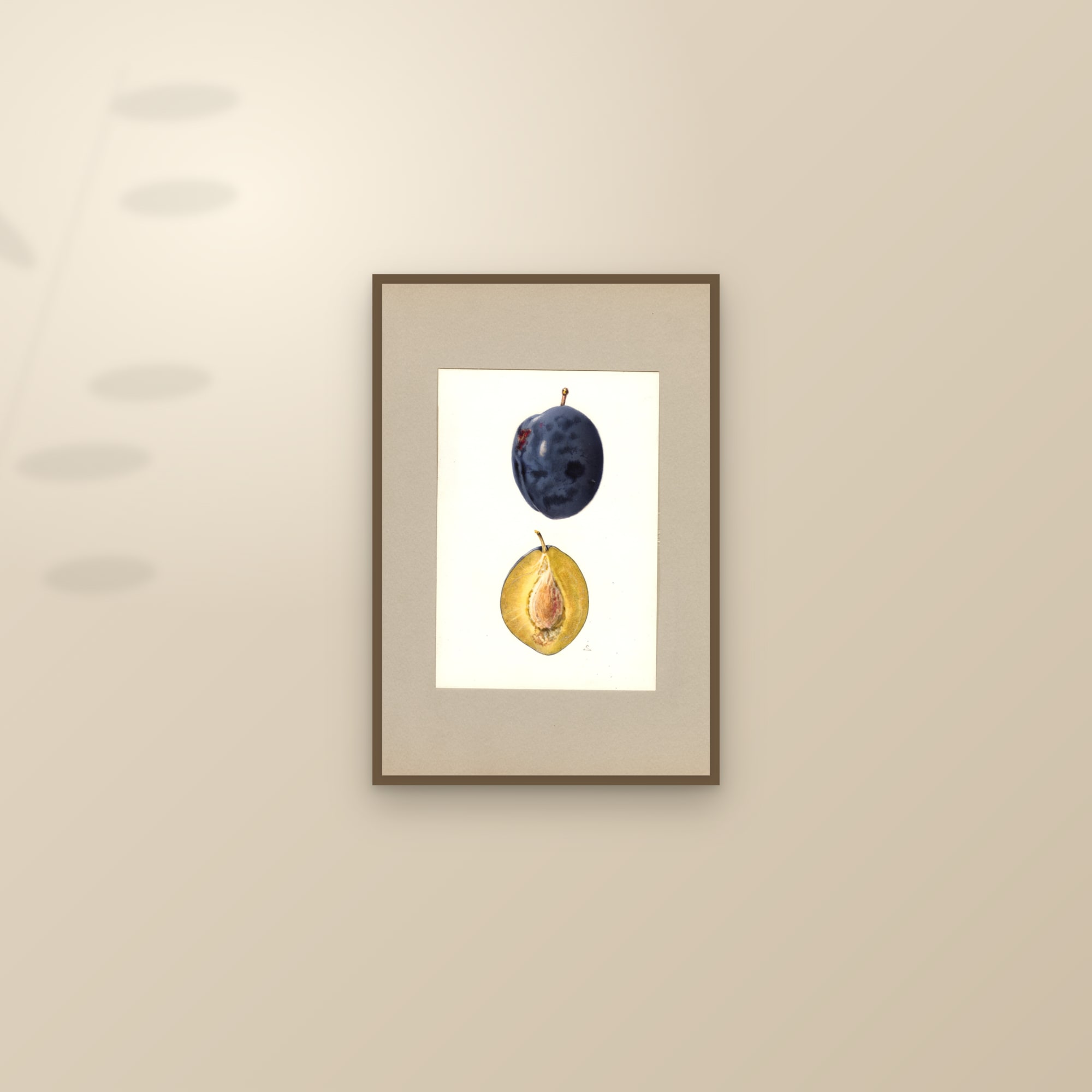 Hall Plum — framed and styled on a sunlit wall