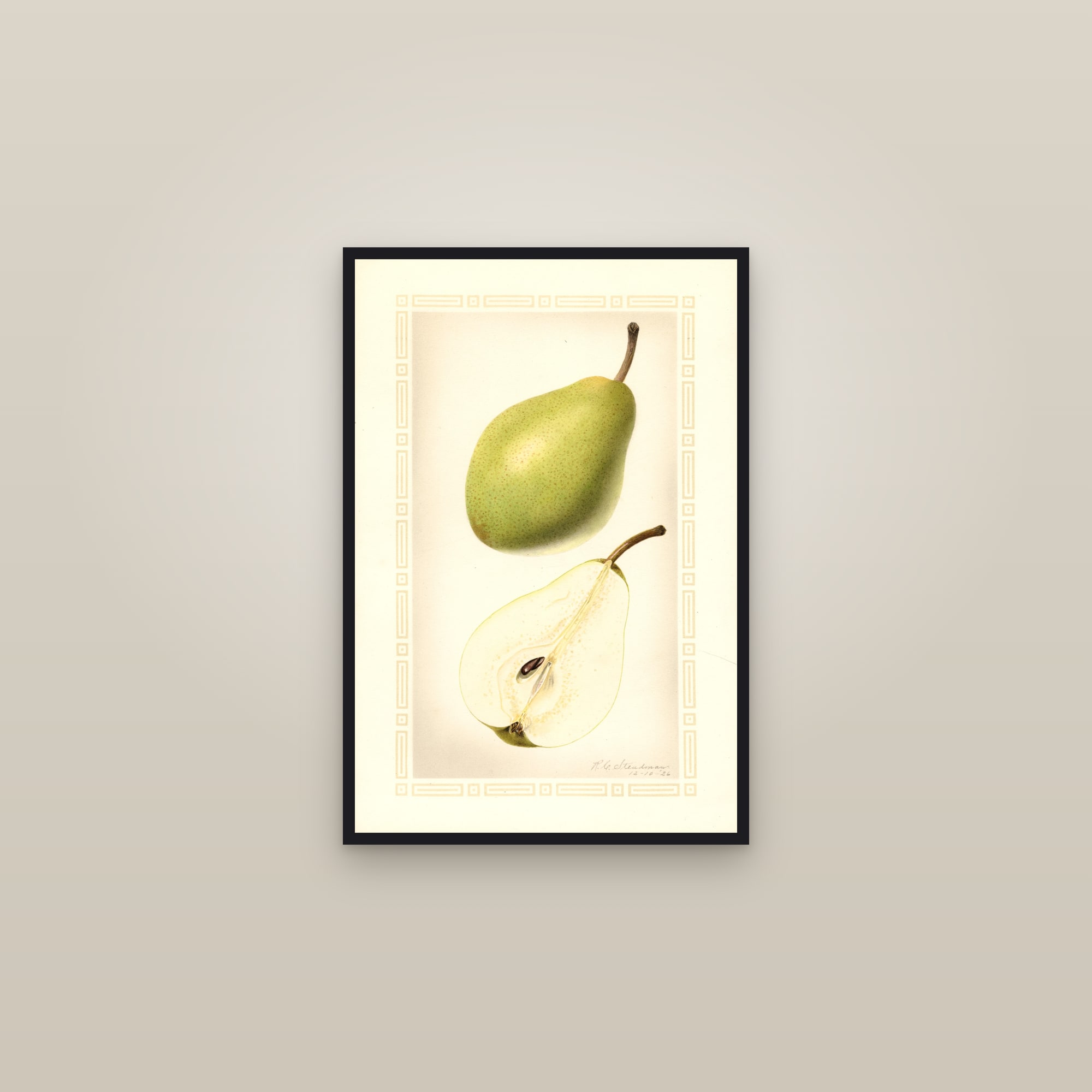 Hardy Pear — framed in a gallery setting