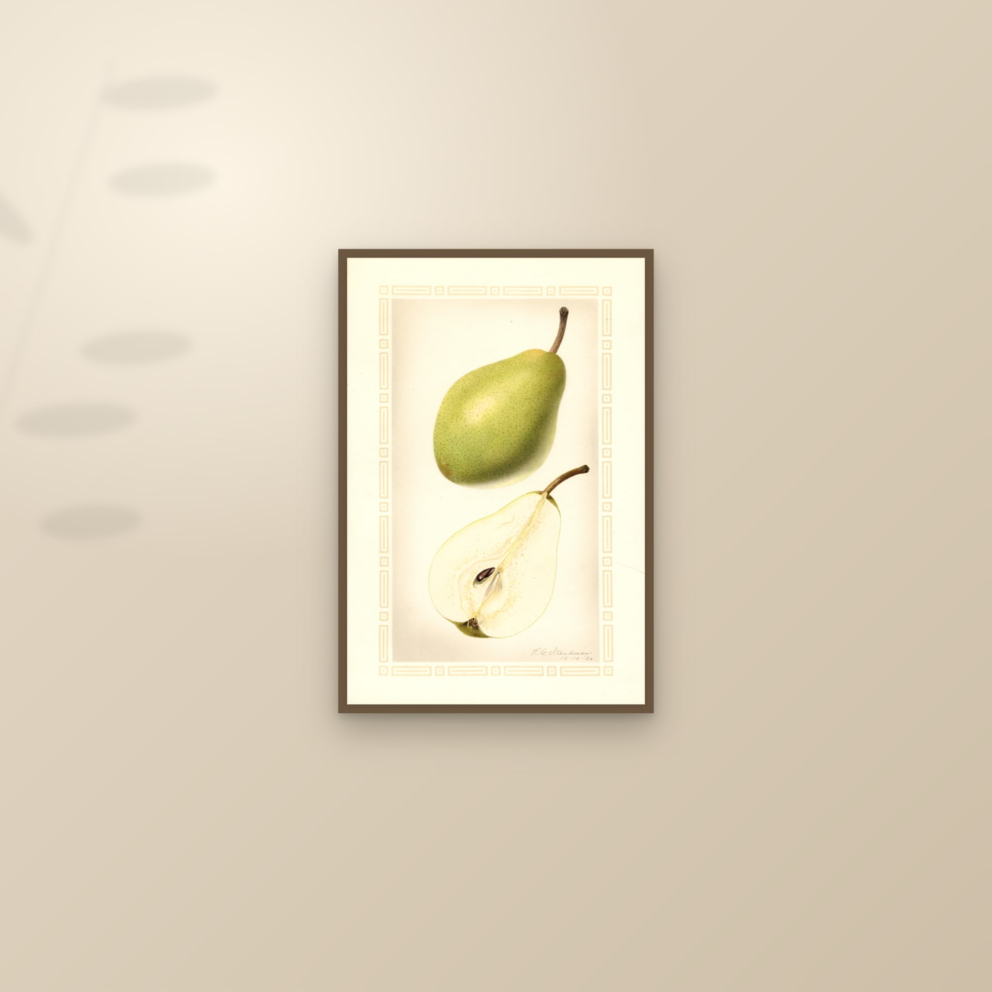 Hardy Pear — framed and styled on a sunlit wall